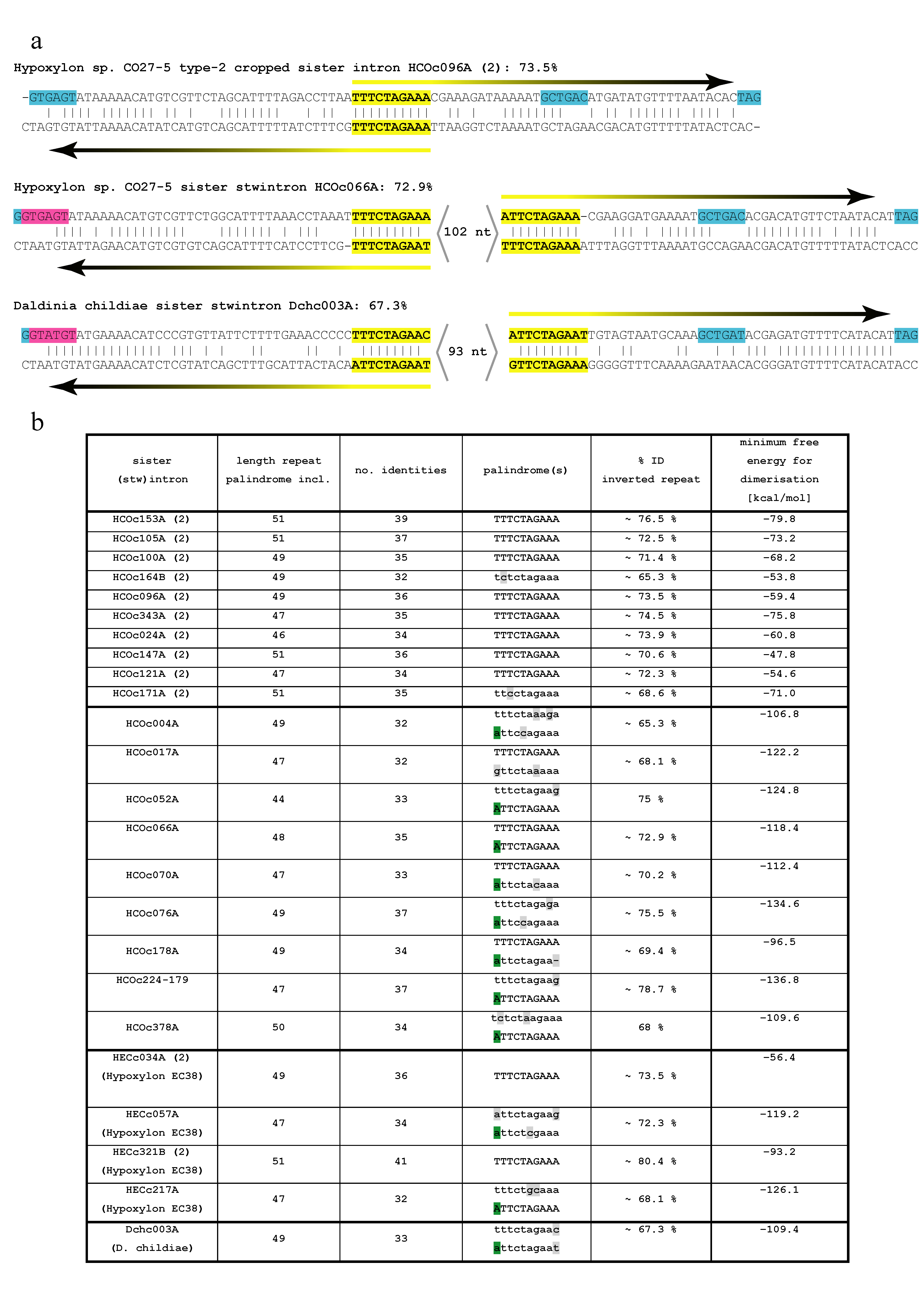 Jof 07 00710 g004 Jof 07 00710 g004