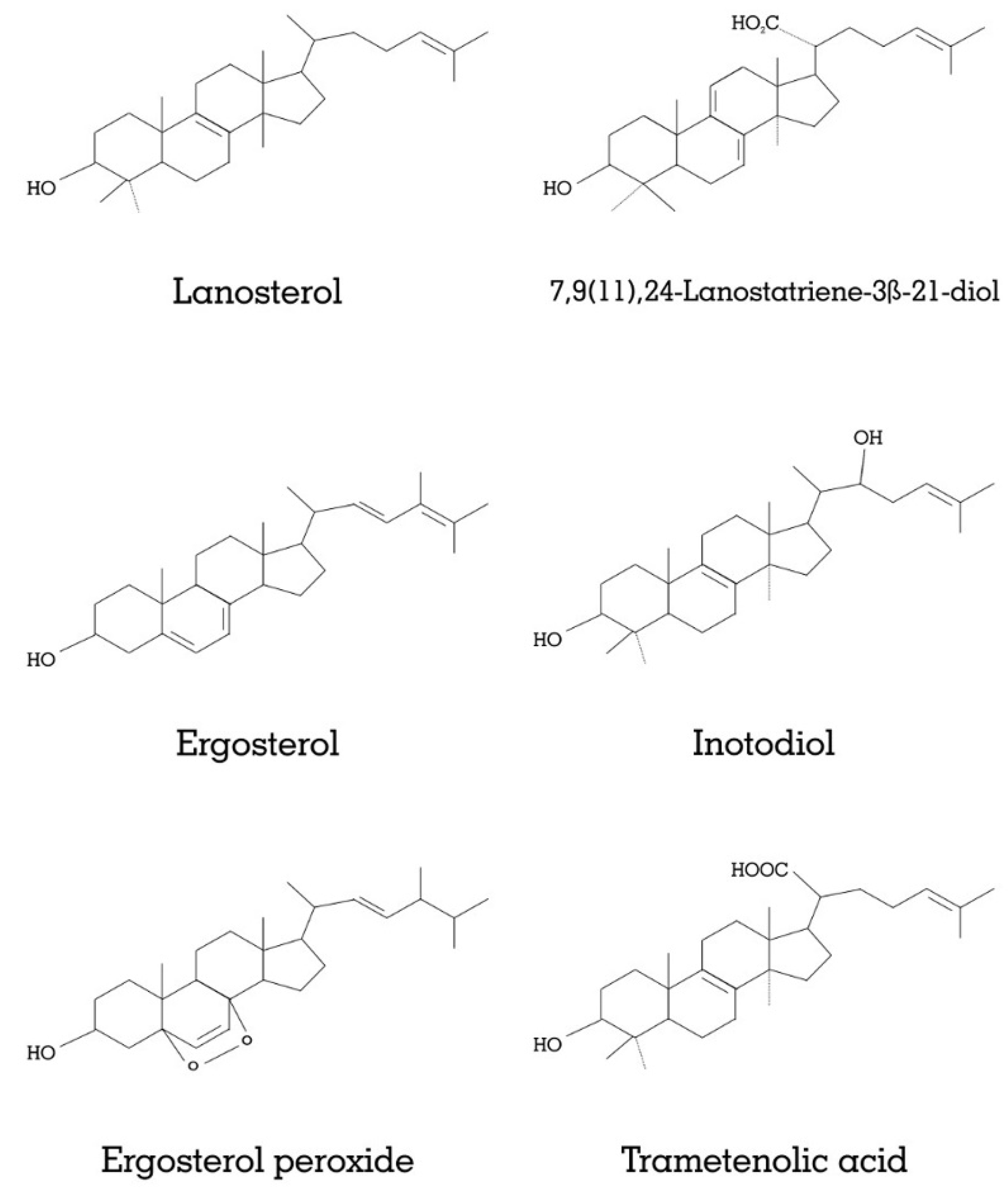 Jof 07 00728 g001 Jof 07 00728 g001