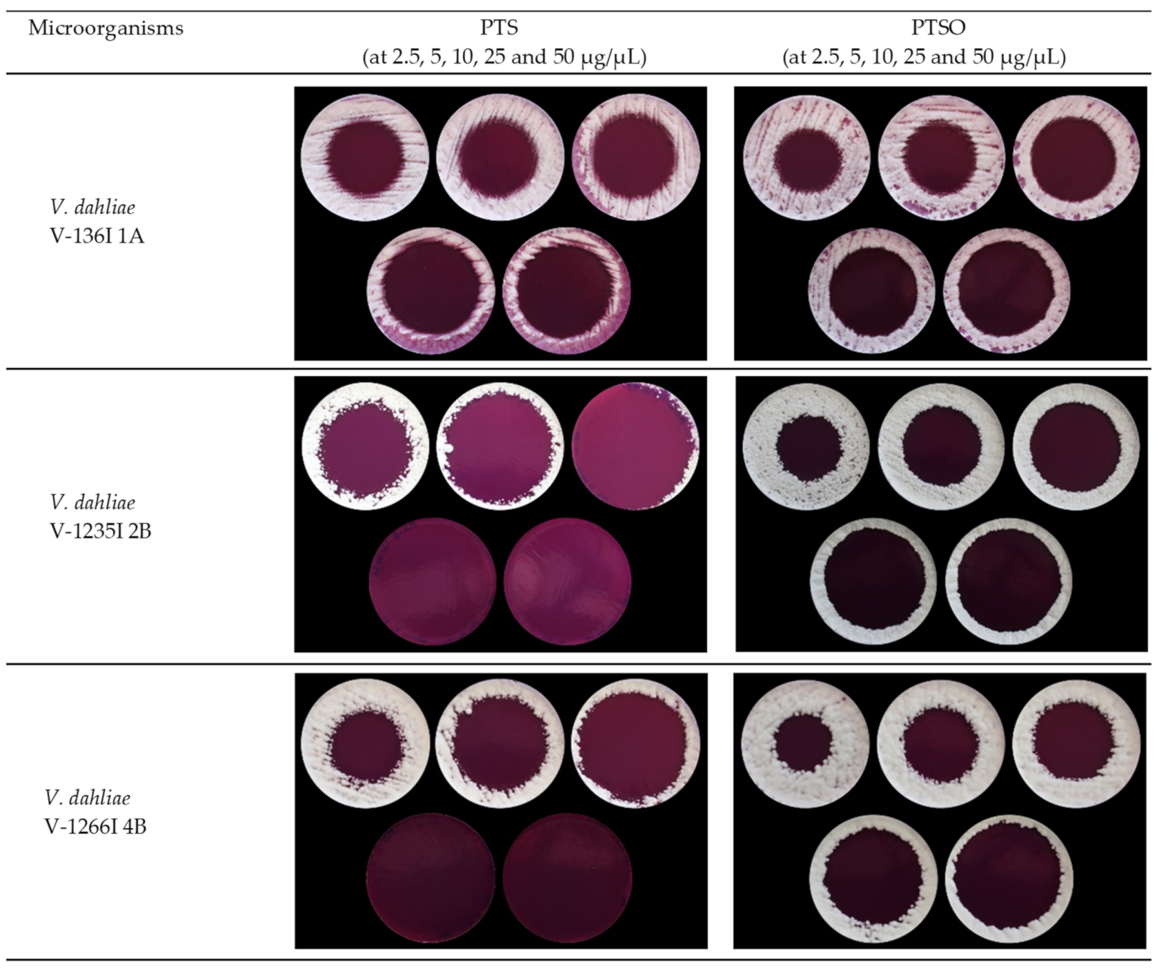 Jof 07 00736 g002 Jof 07 00736 g002
