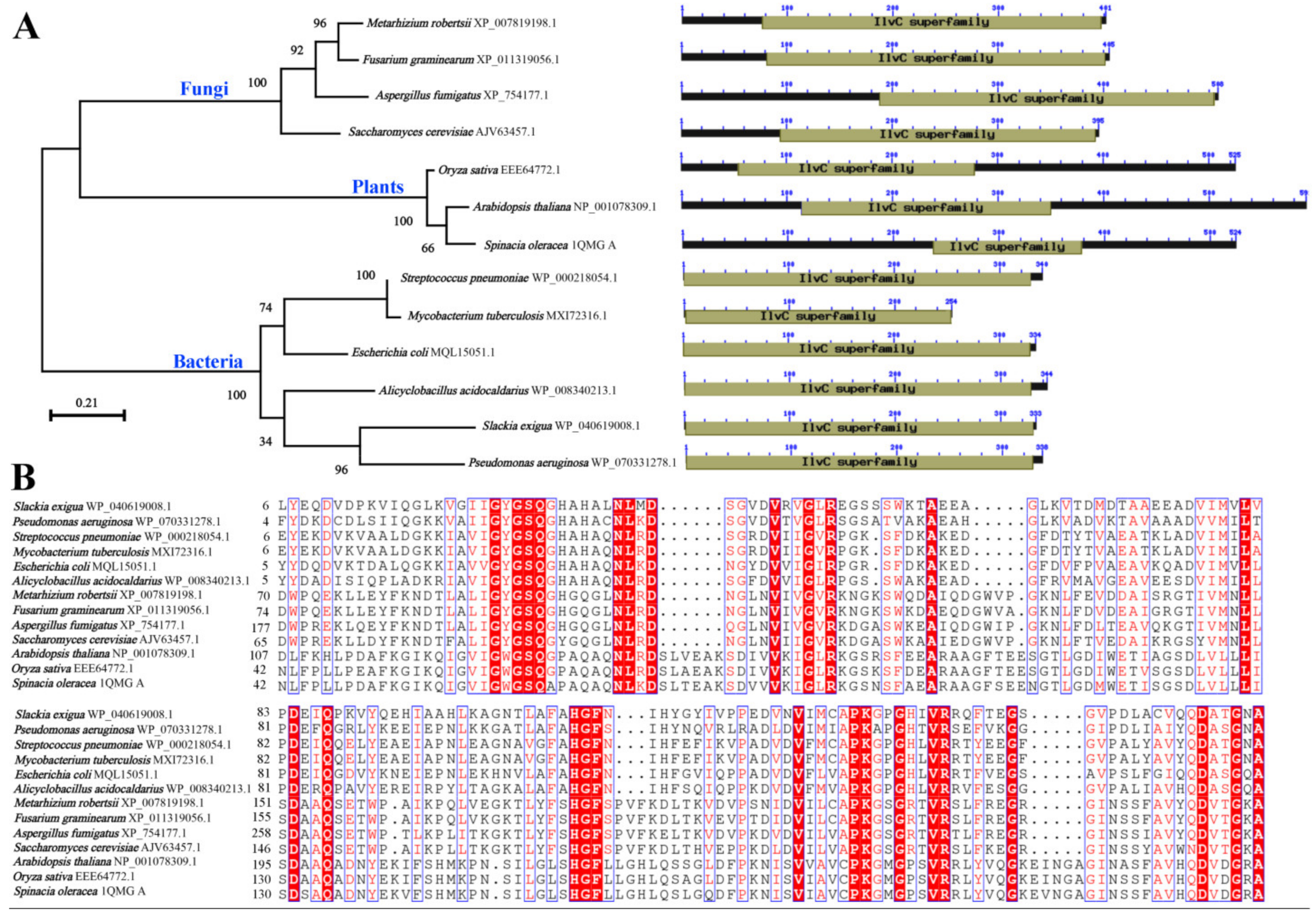 Jof 07 00737 g001 550