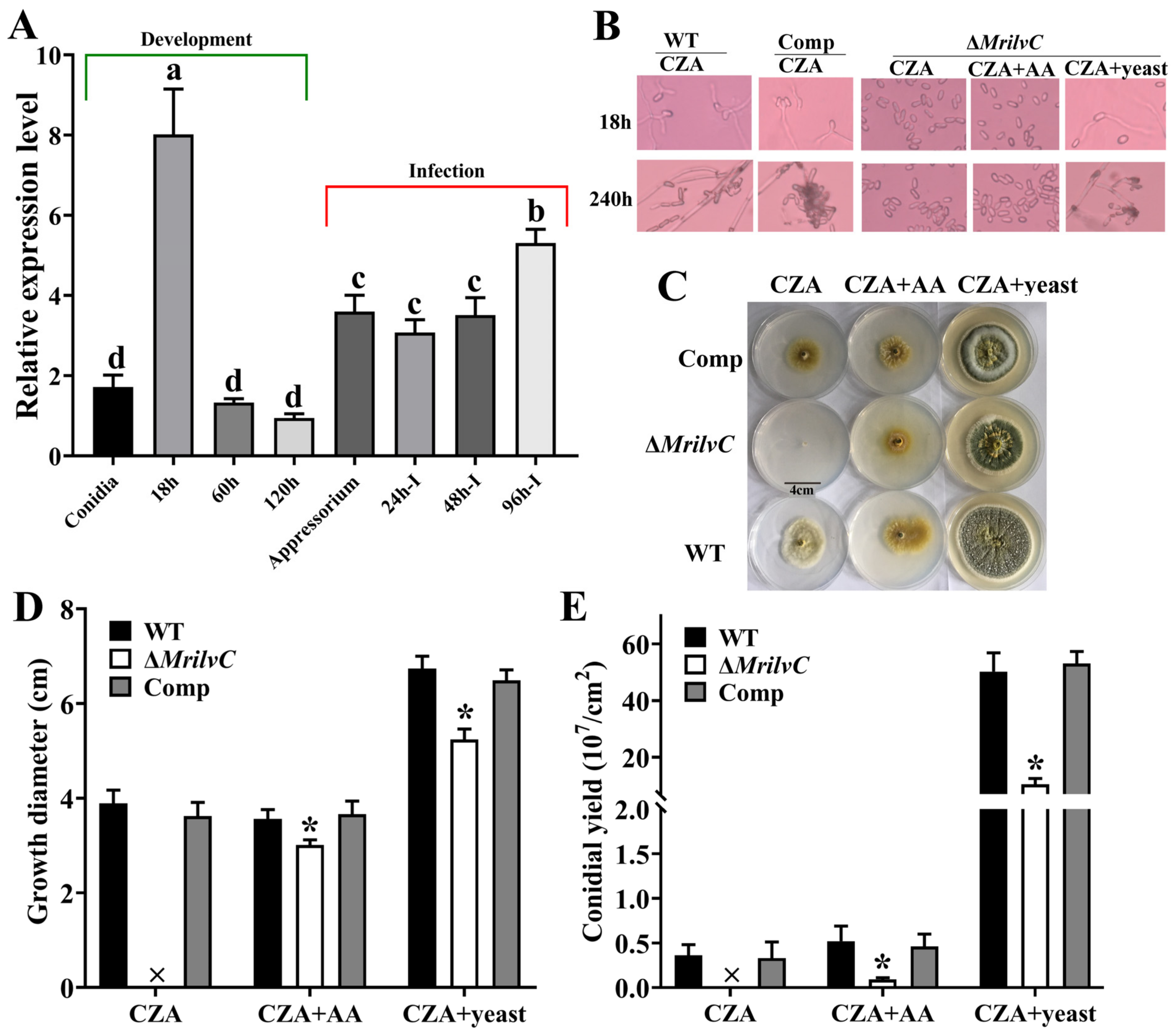 Jof 07 00737 g004 550