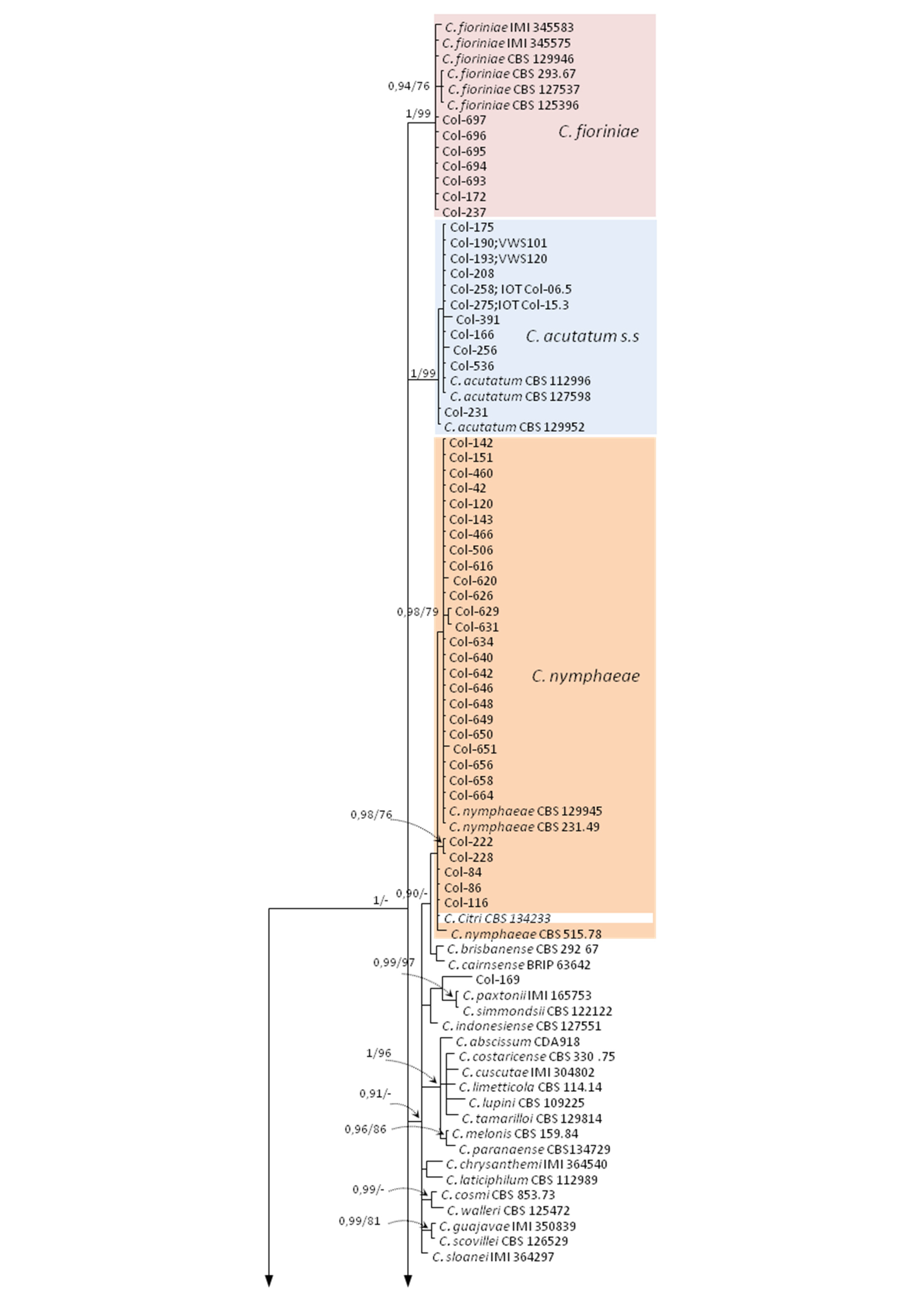 Jof 07 00741 g003a