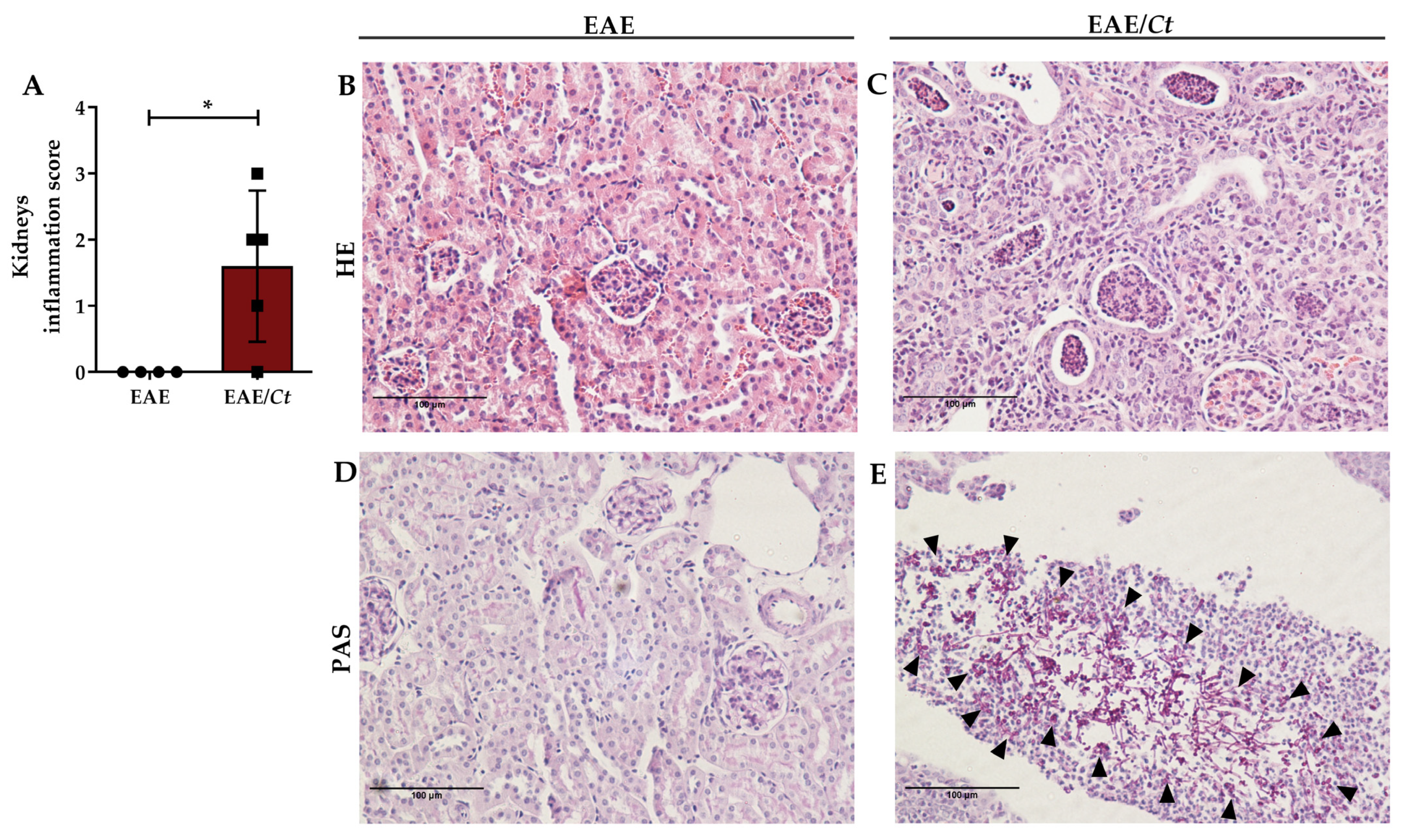 Jof 07 00757 g007 Jof 07 00757 g007
