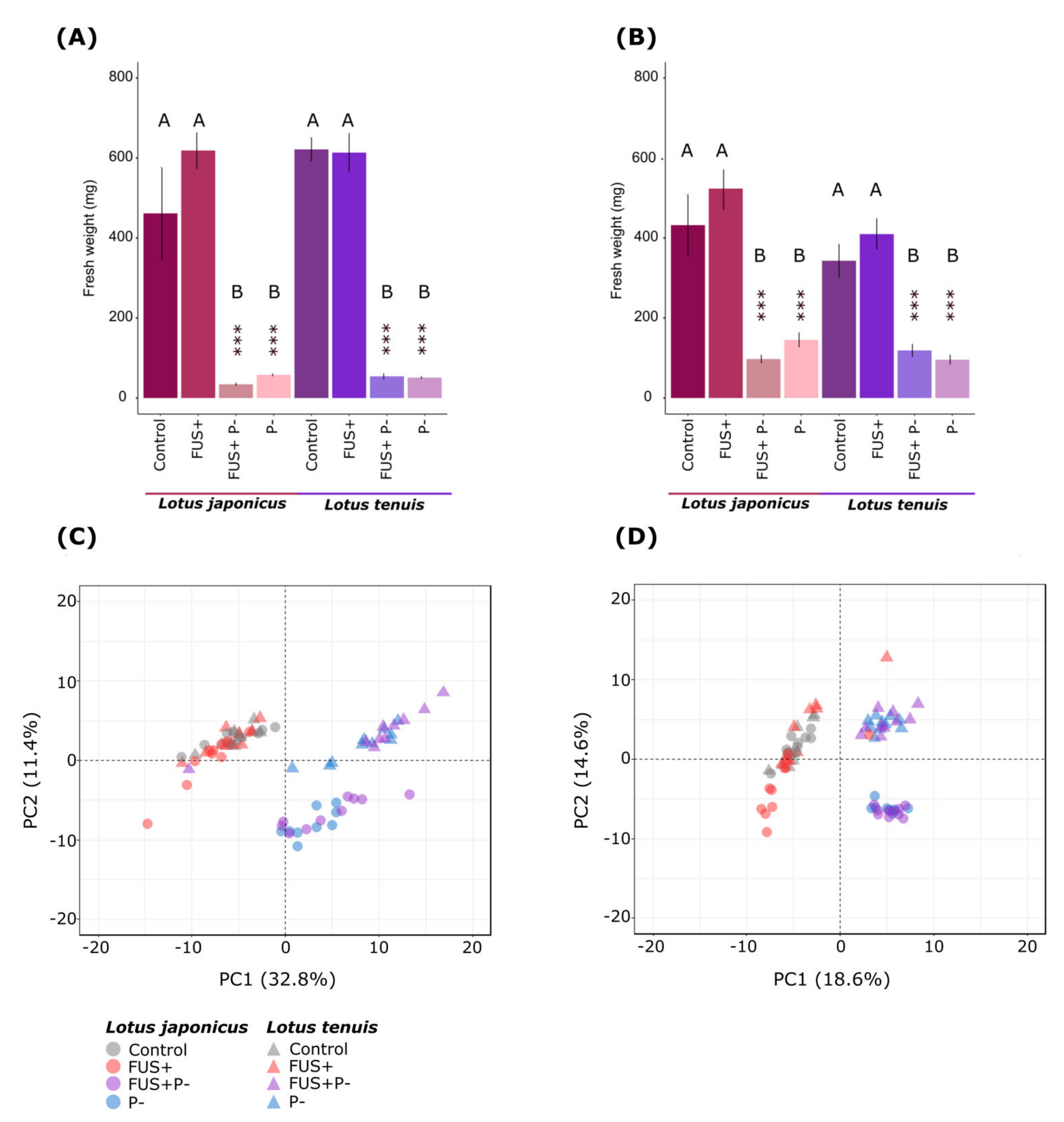 Jof 07 00765 g001 550