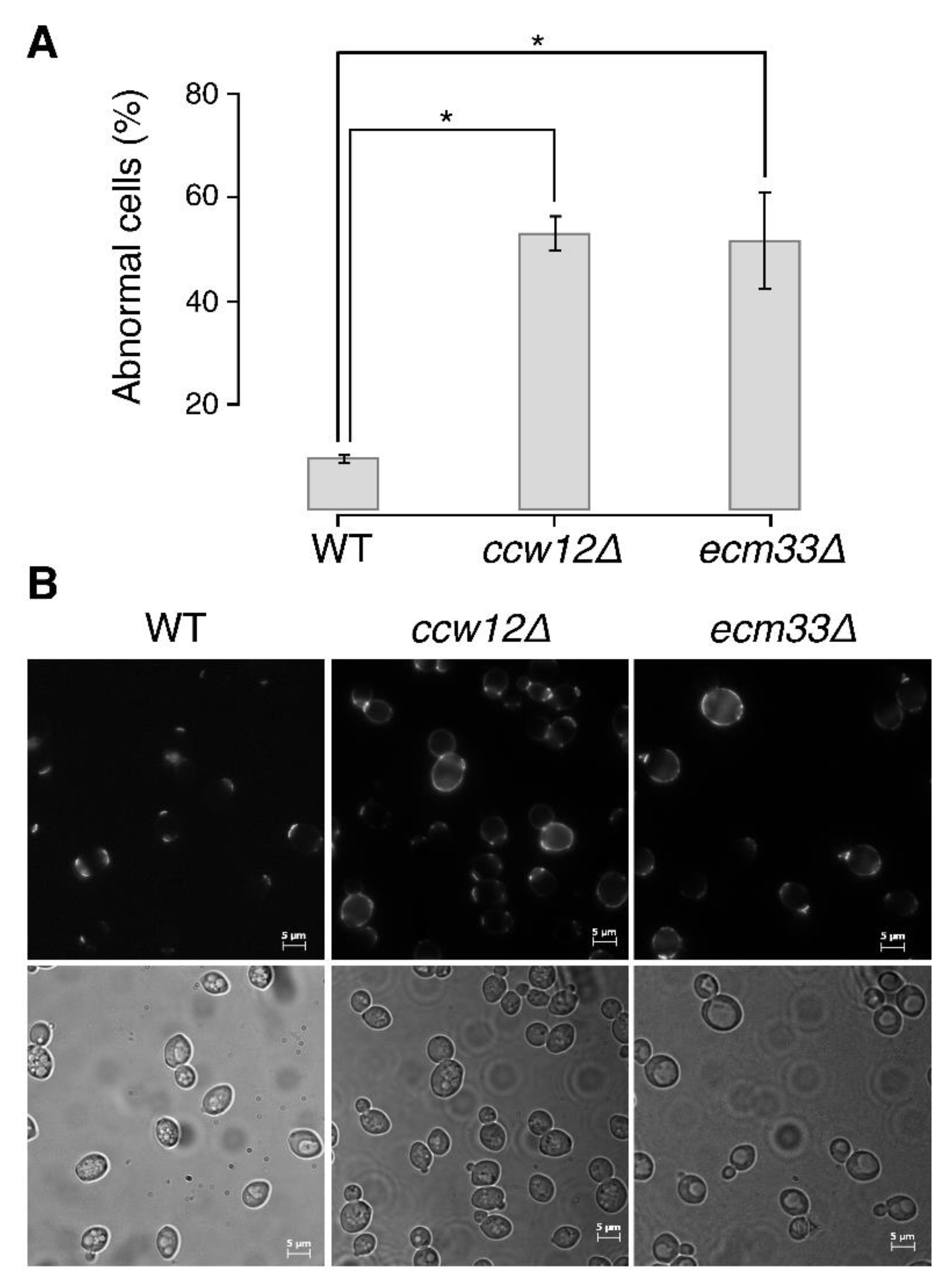 Jof 07 00769 g002 Jof 07 00769 g002