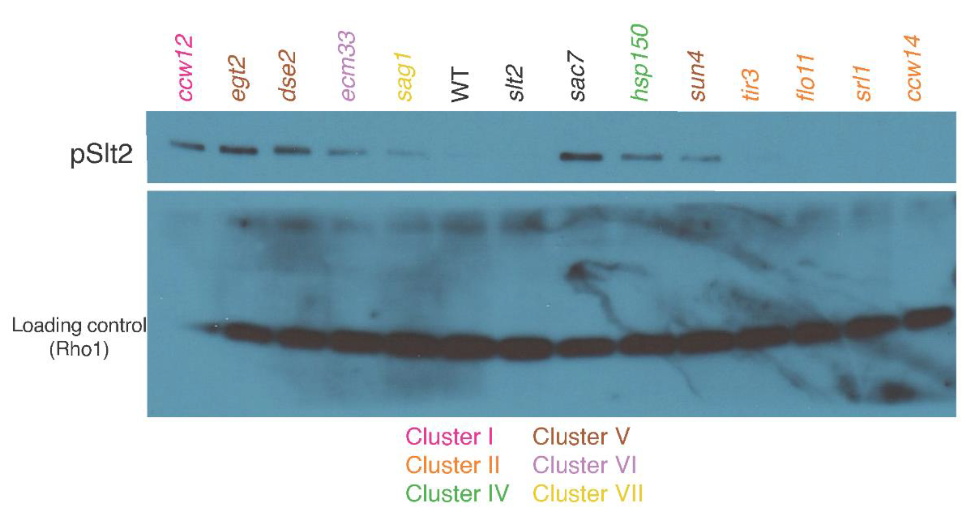 Jof 07 00769 g003 Jof 07 00769 g003