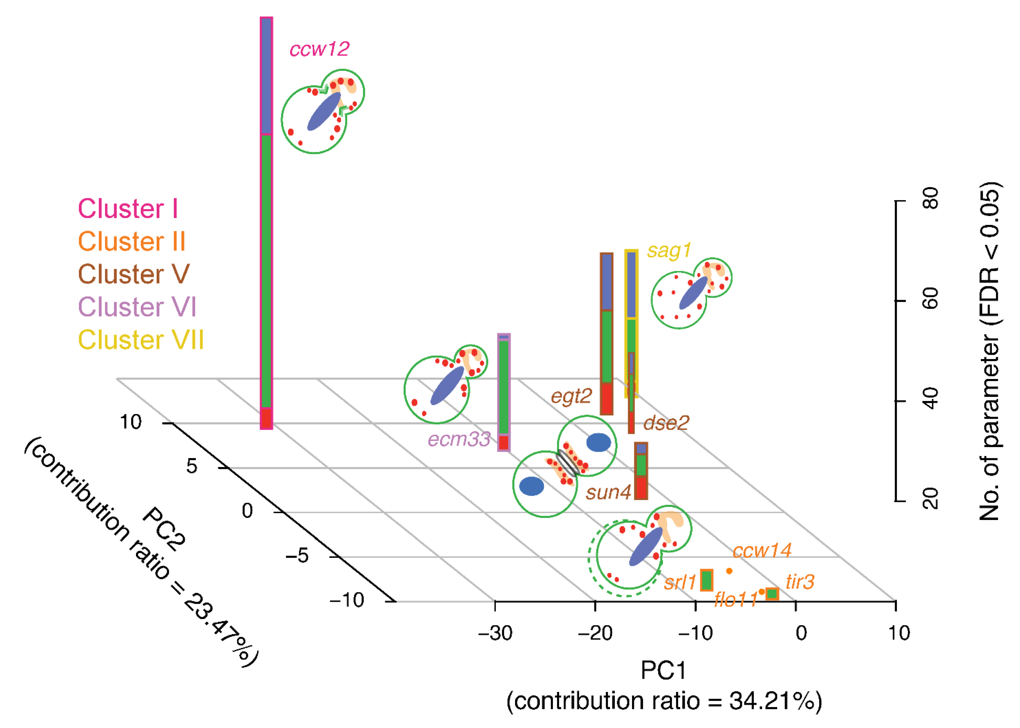 Jof 07 00769 g006 Jof 07 00769 g006