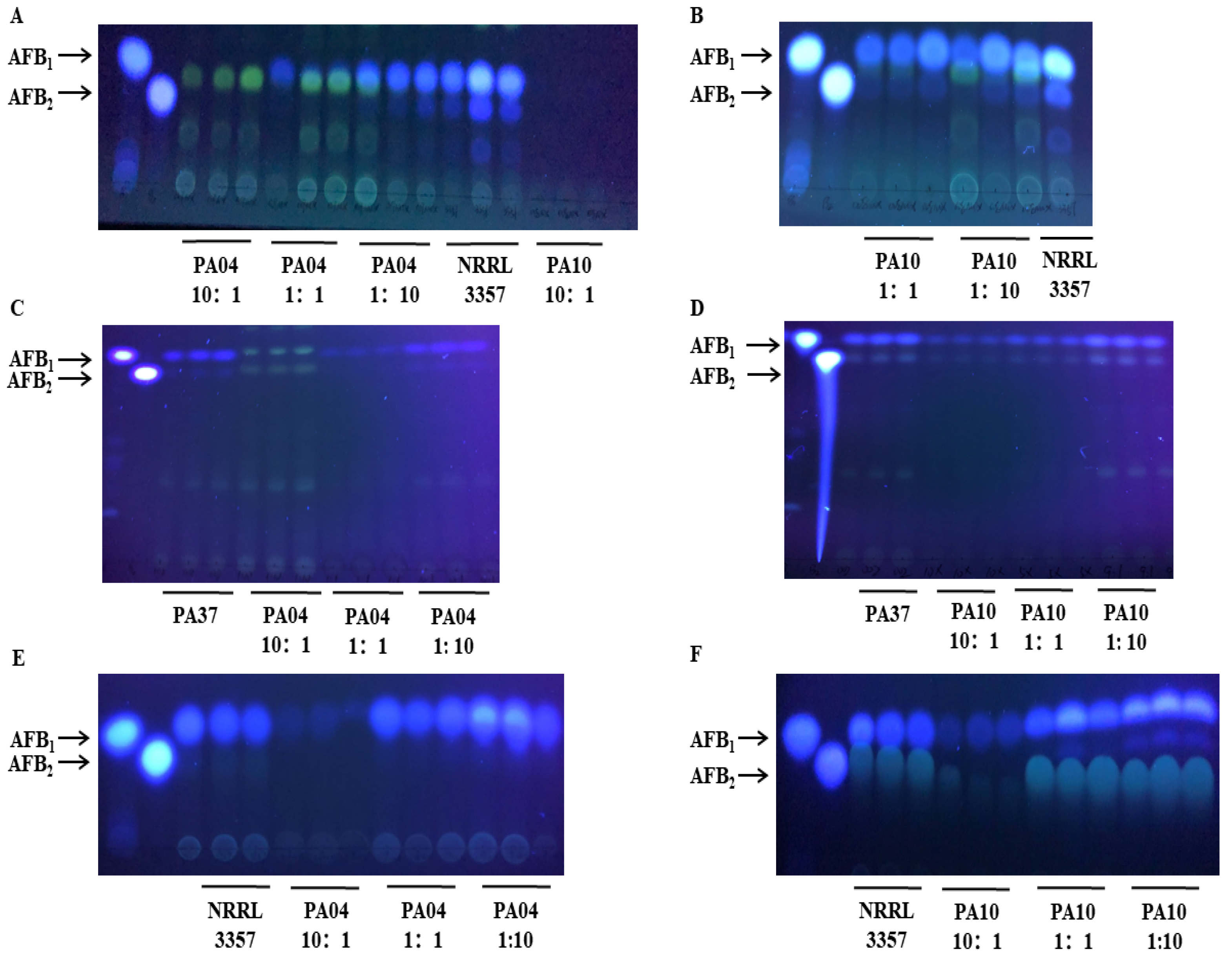 Jof 07 00773 g003 Jof 07 00773 g003