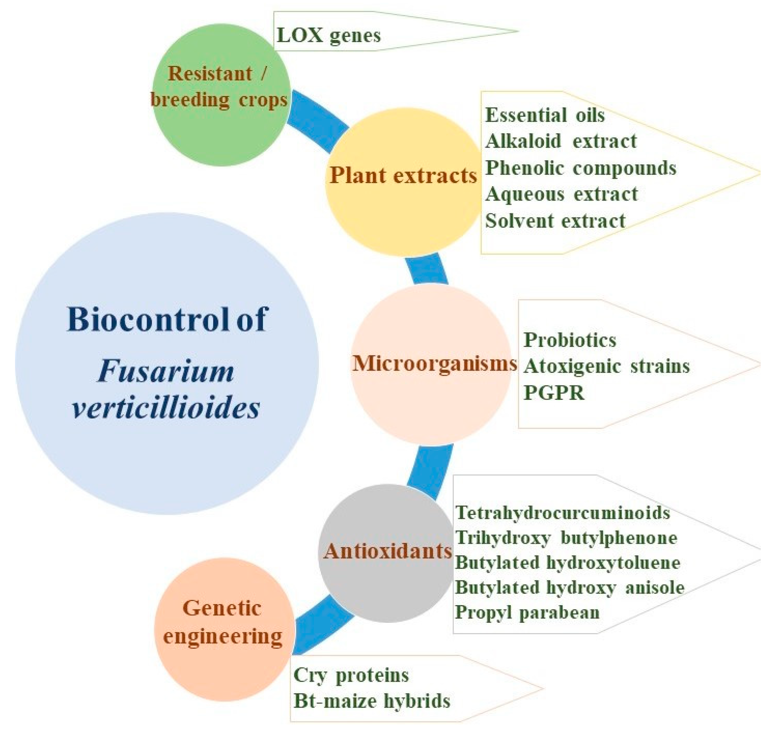 Jof 07 00776 g002 Jof 07 00776 g002