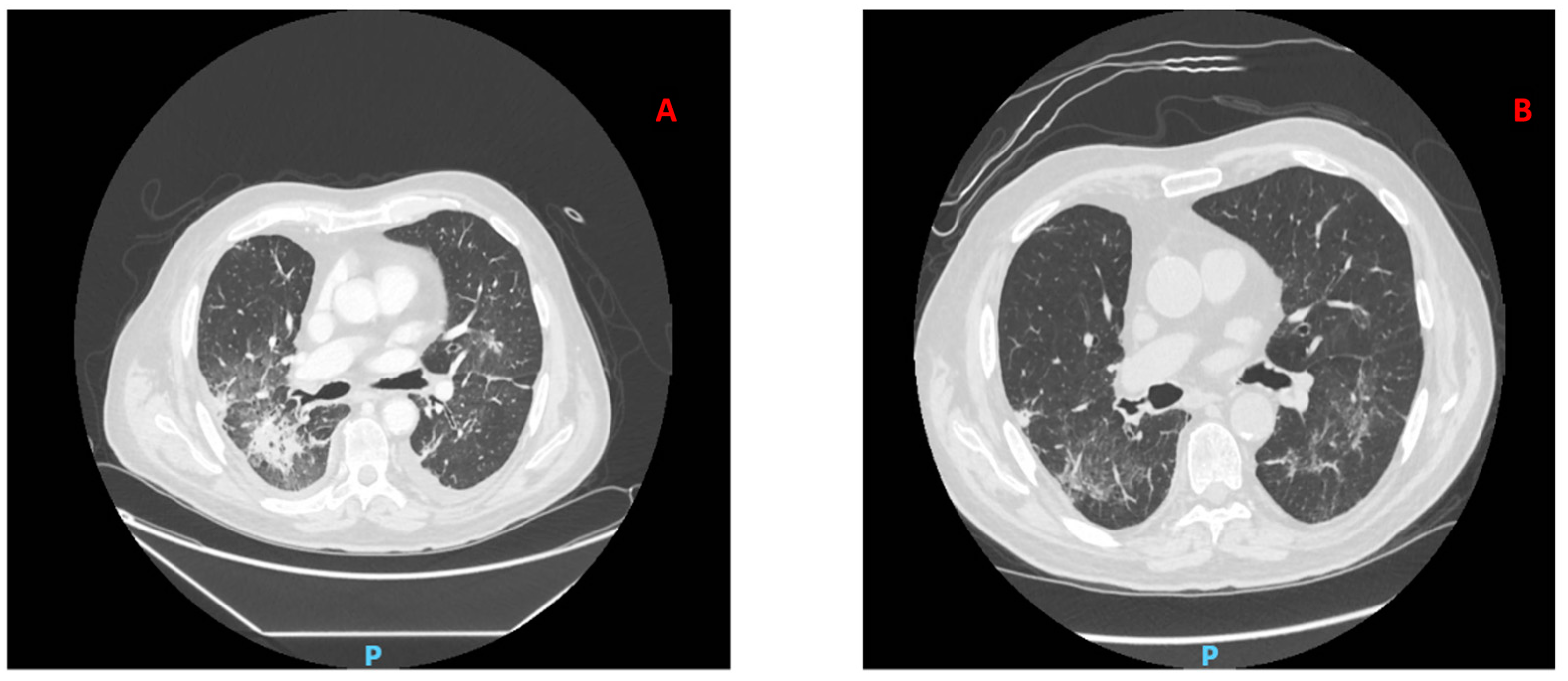 Jof 07 00778 g001 Jof 07 00778 g001