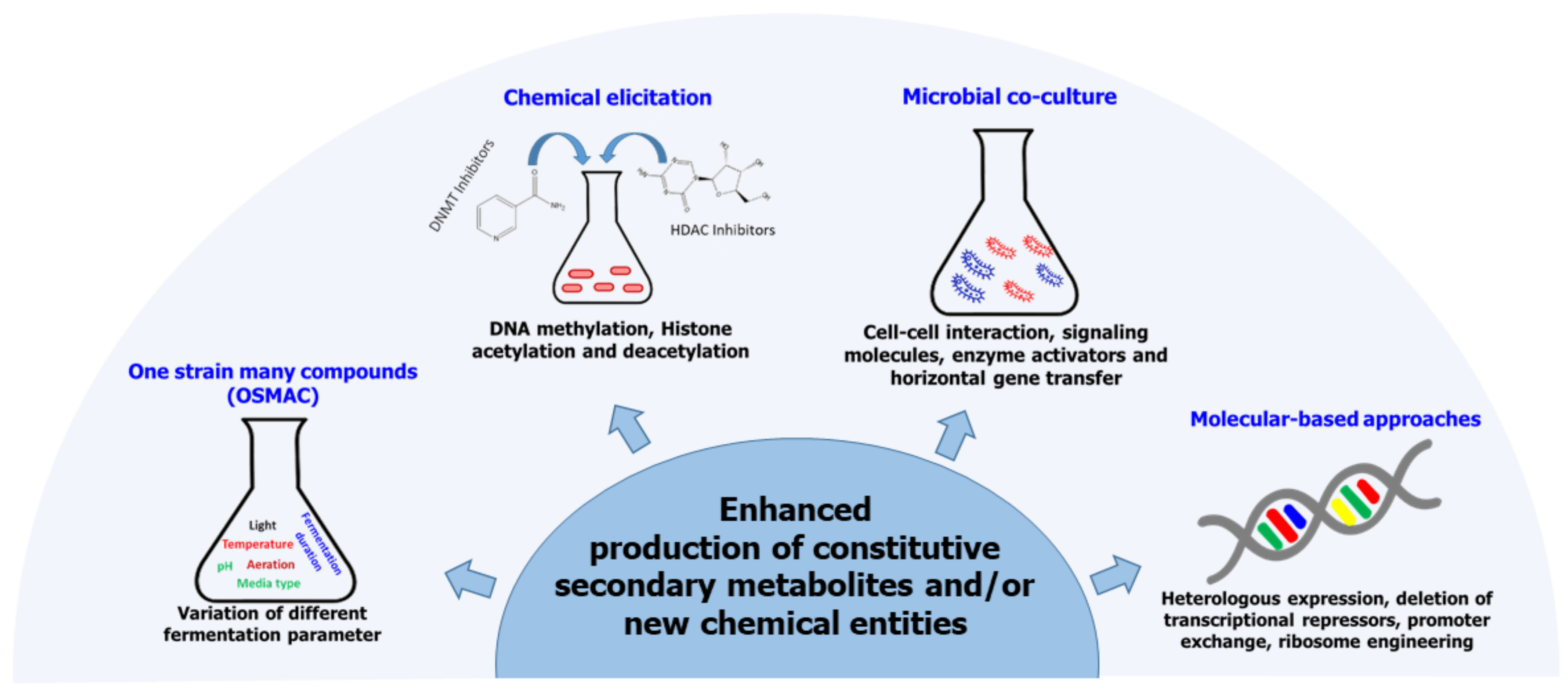 JoF | Free Full-Text | Fungal Endophytes: A Promising Frontier for 