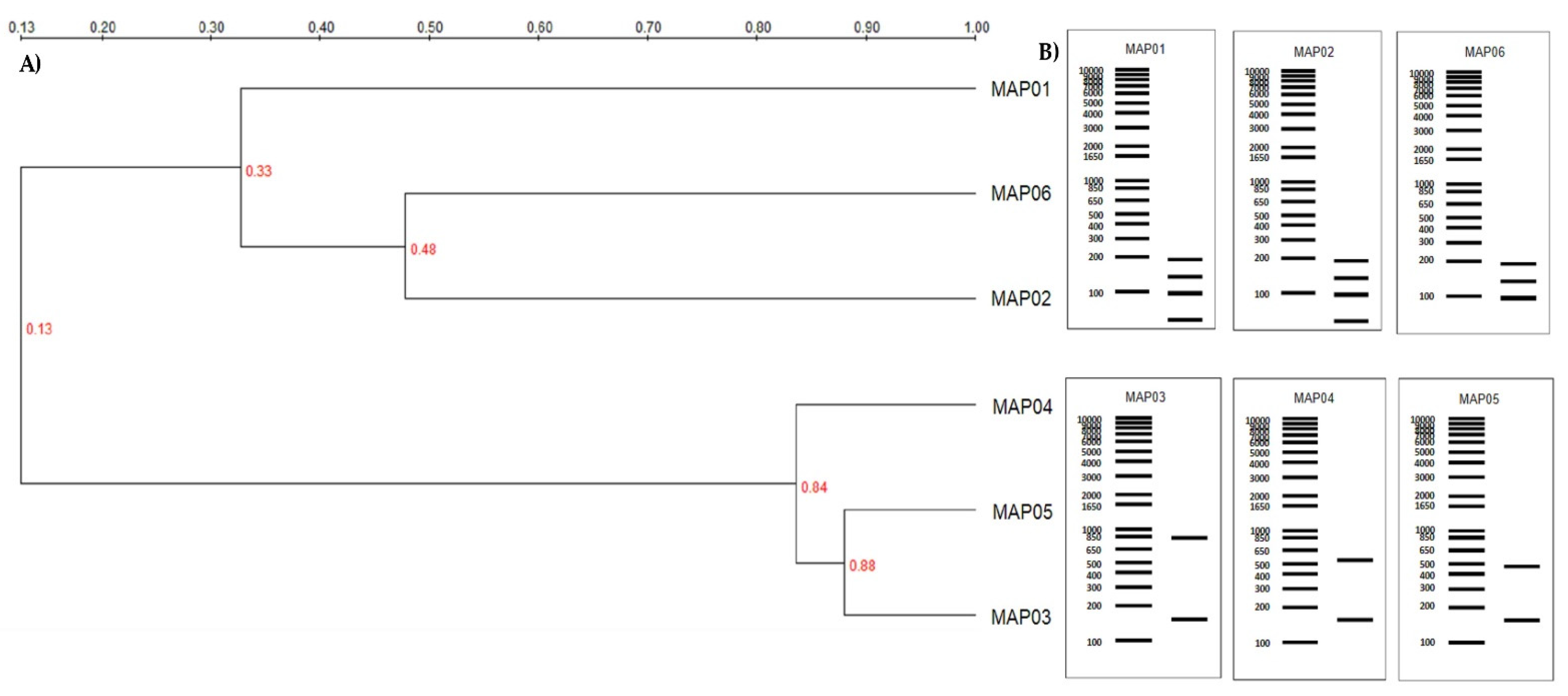 Jof 07 00805 g001 550
