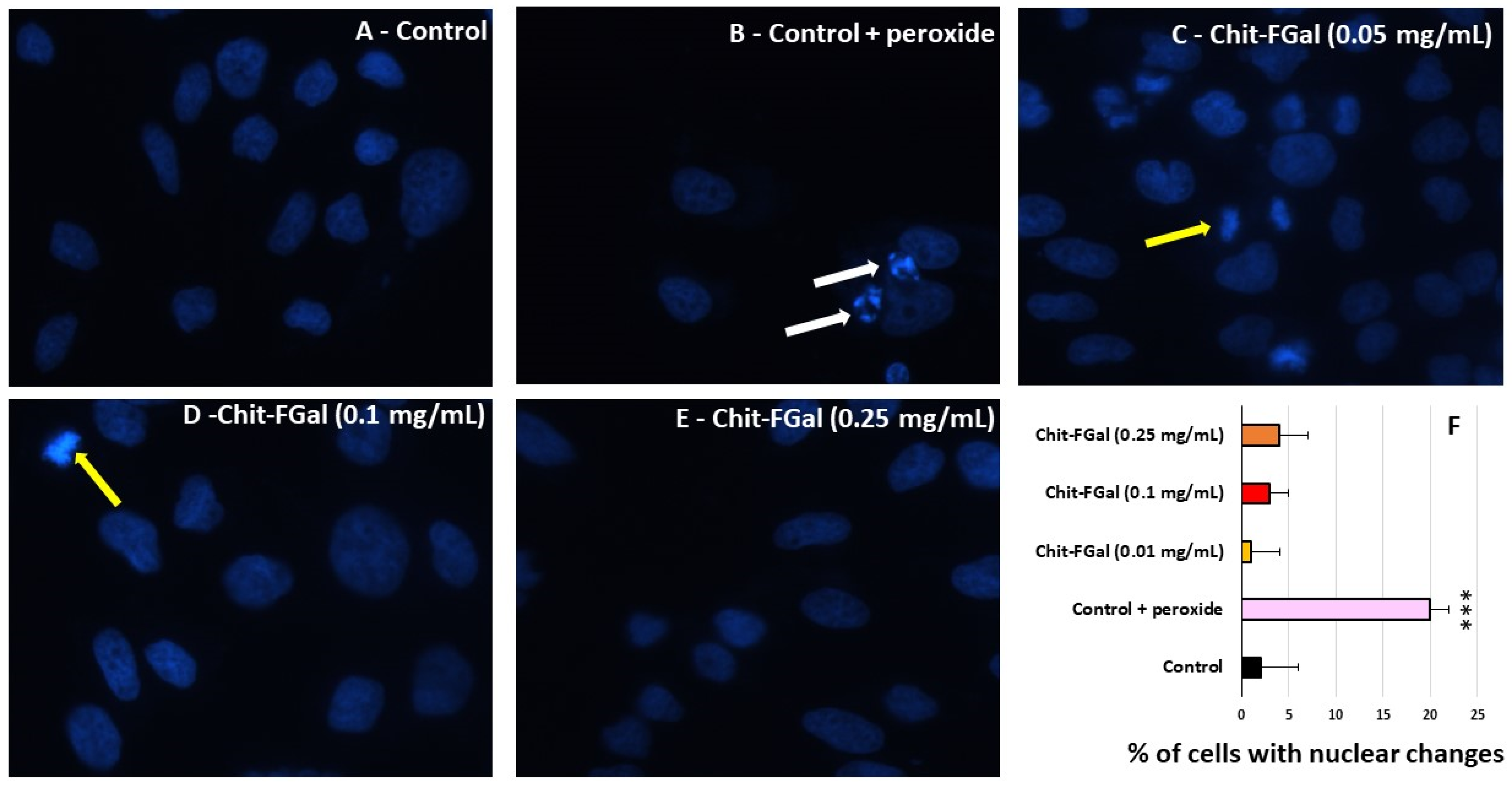 Jof 07 00812 g010 Jof 07 00812 g010