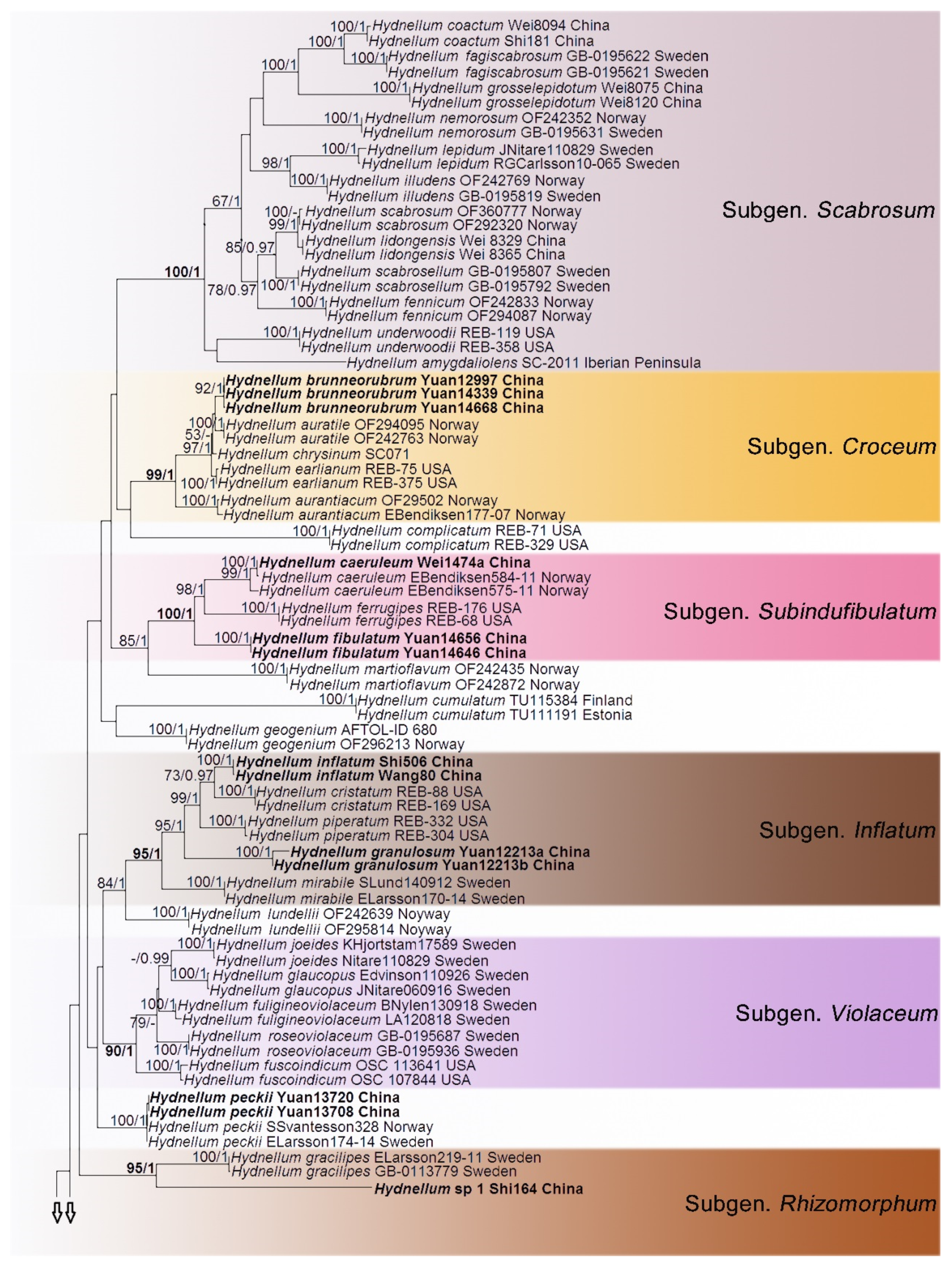 Jof 07 00818 g001a Jof 07 00818 g001a