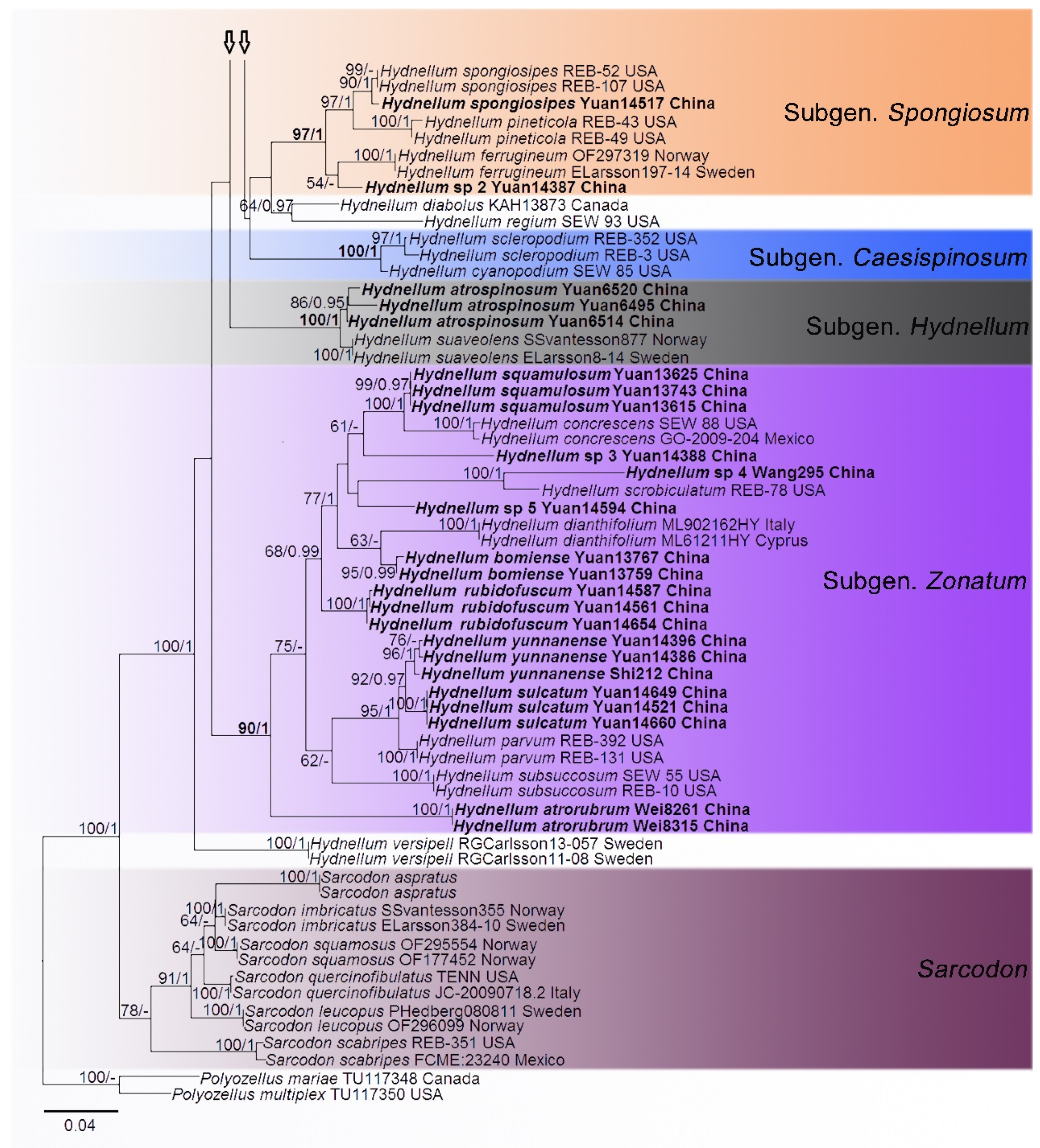 Jof 07 00818 g001b Jof 07 00818 g001b