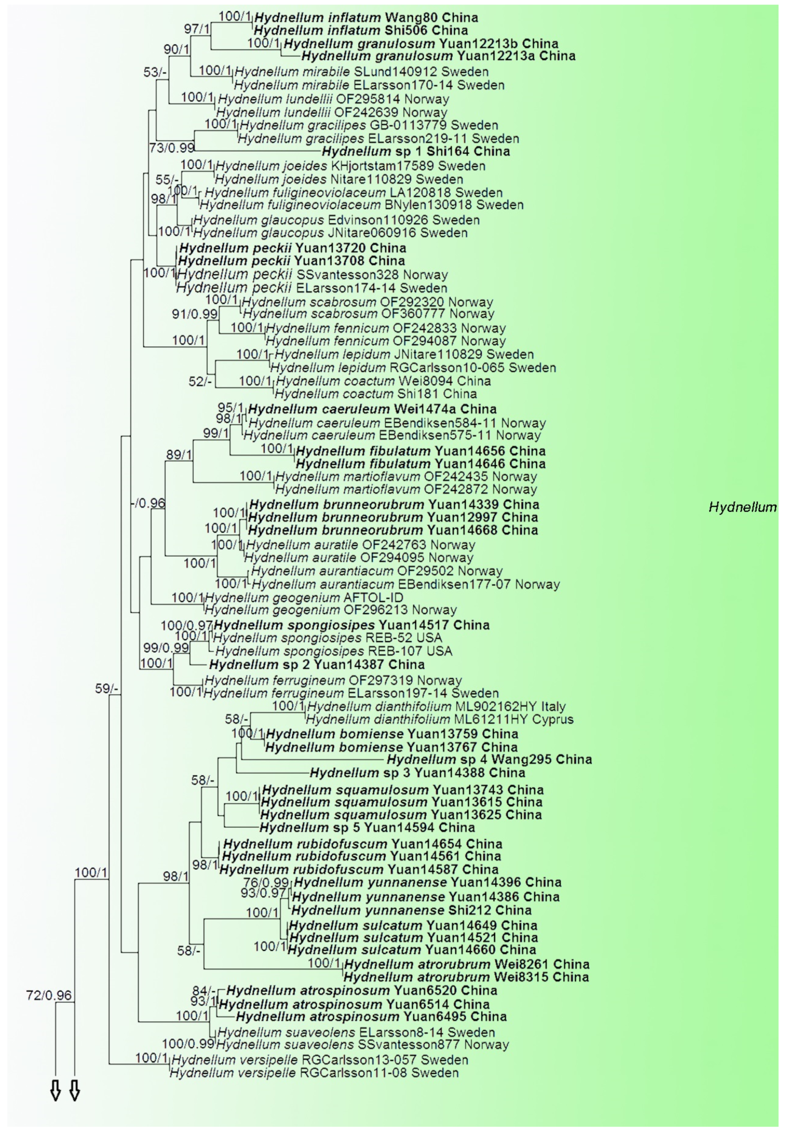 Jof 07 00818 g002a Jof 07 00818 g002a
