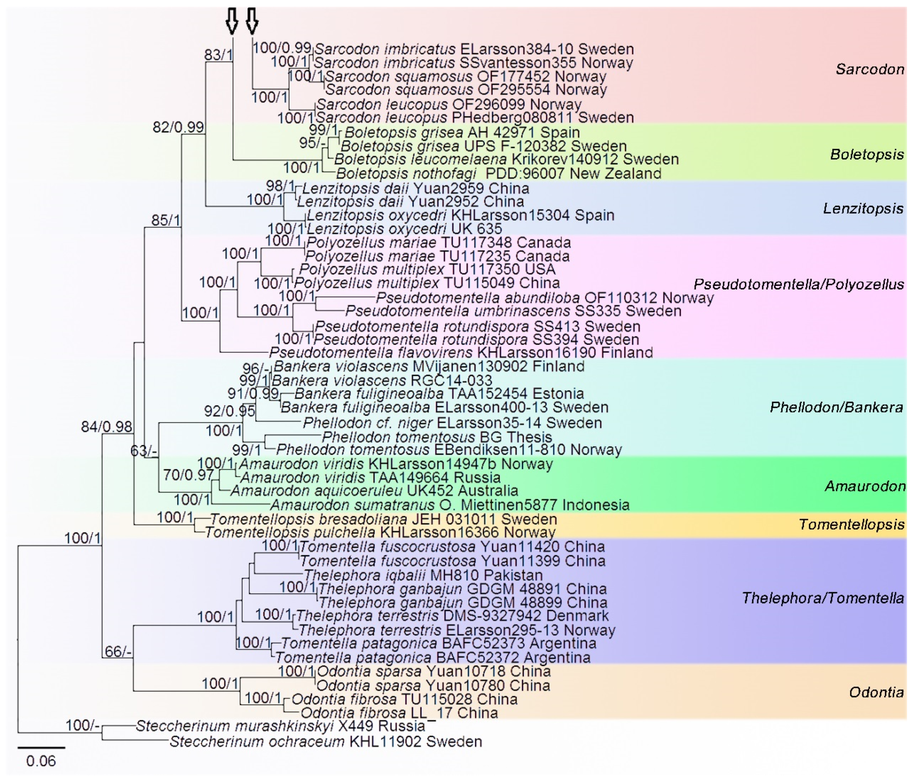 Jof 07 00818 g002b Jof 07 00818 g002b