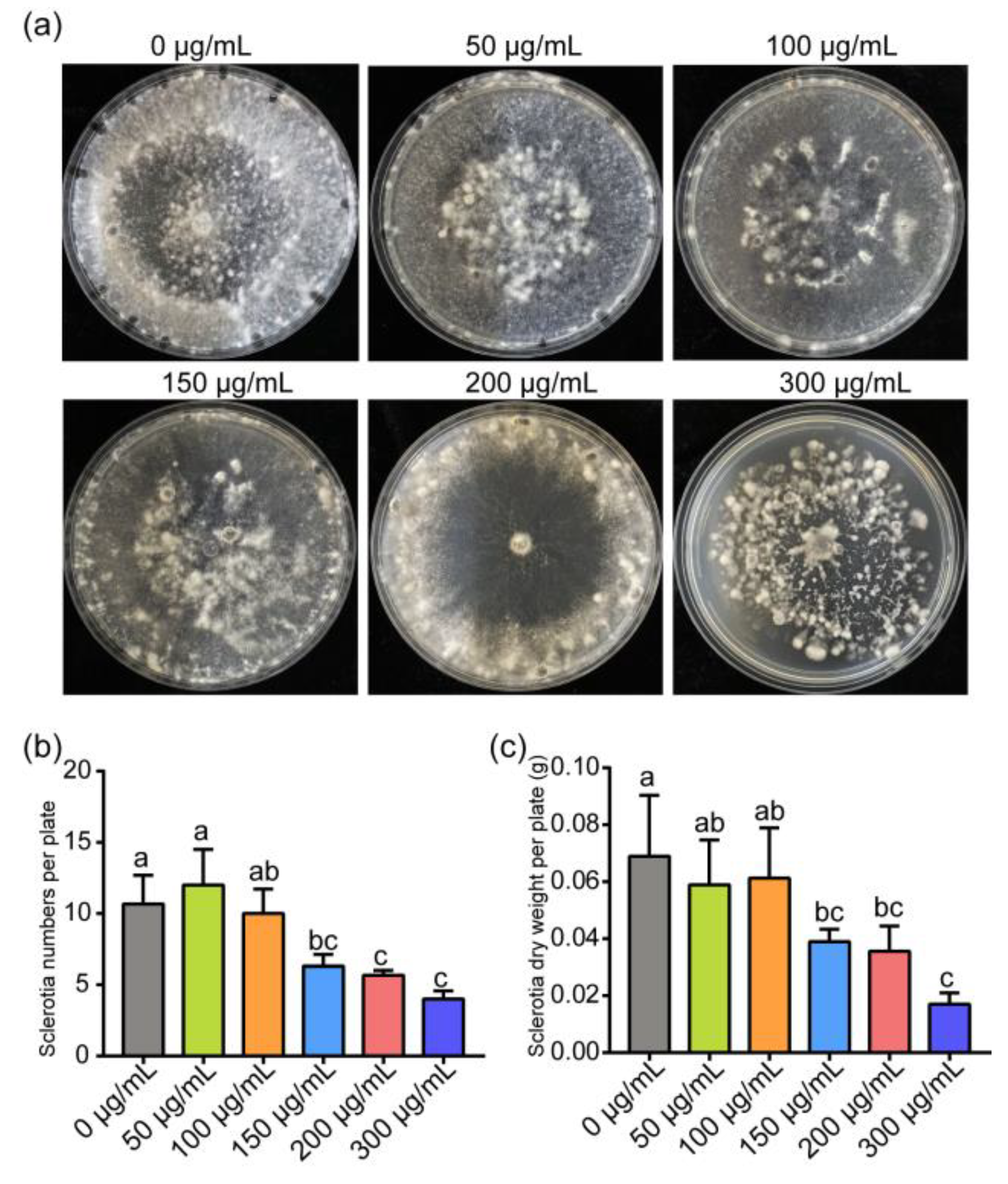 Jof 07 00821 g002 Jof 07 00821 g002