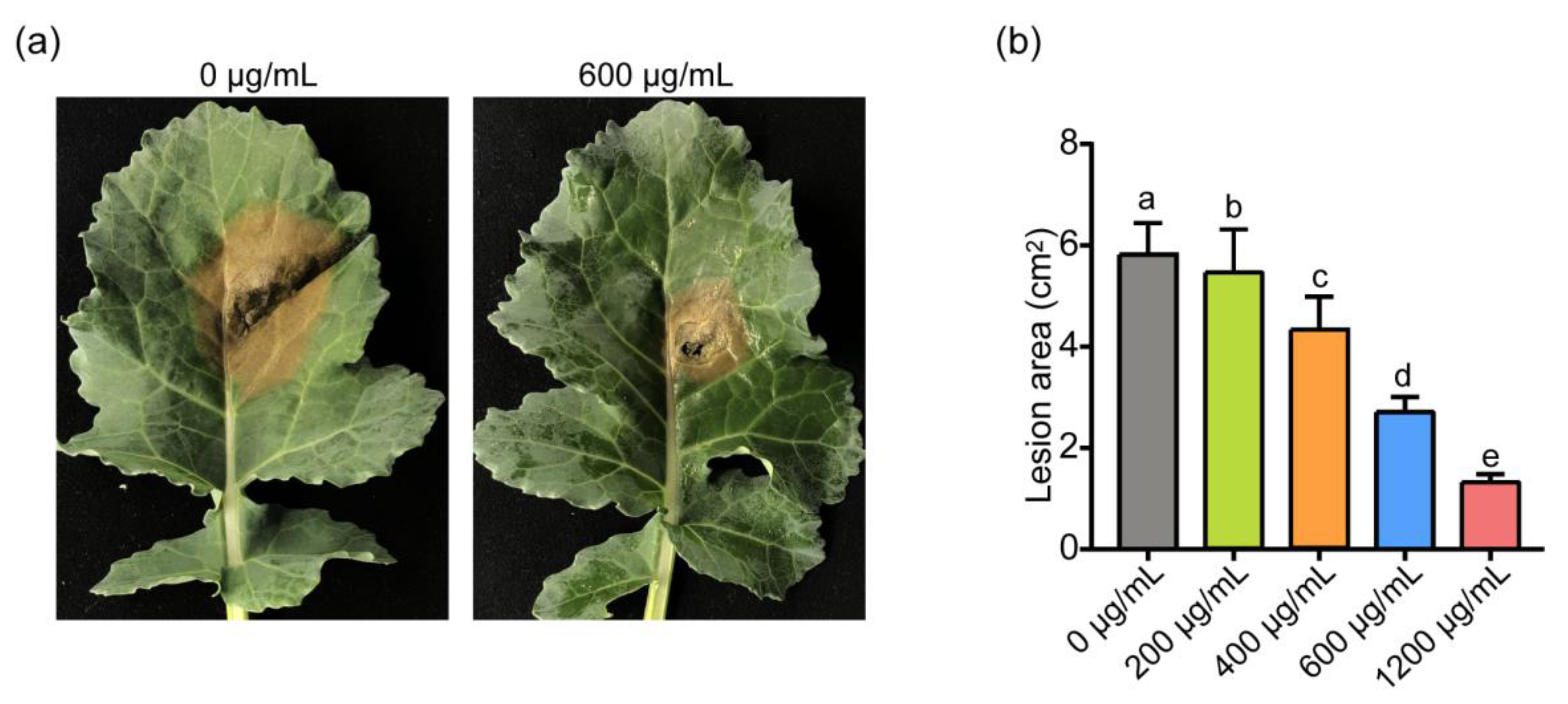 Jof 07 00821 g003 Jof 07 00821 g003