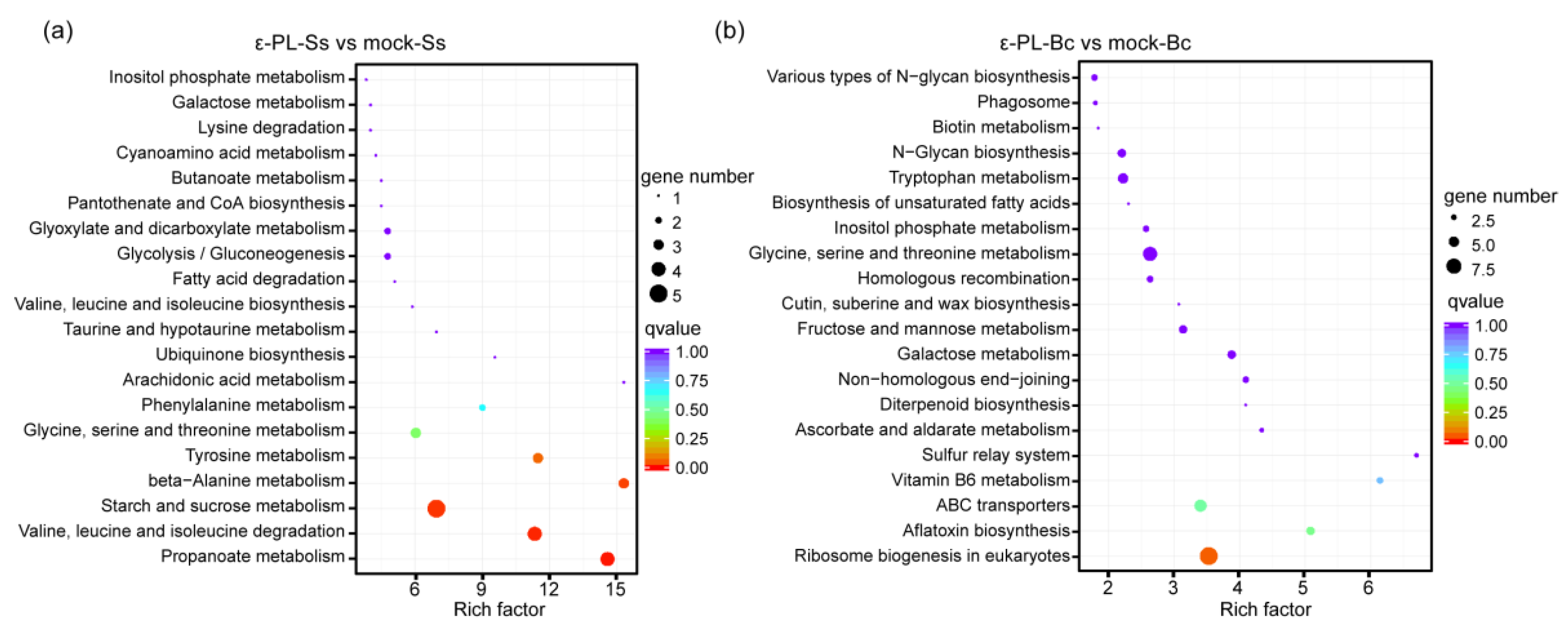 Jof 07 00821 g005 Jof 07 00821 g005