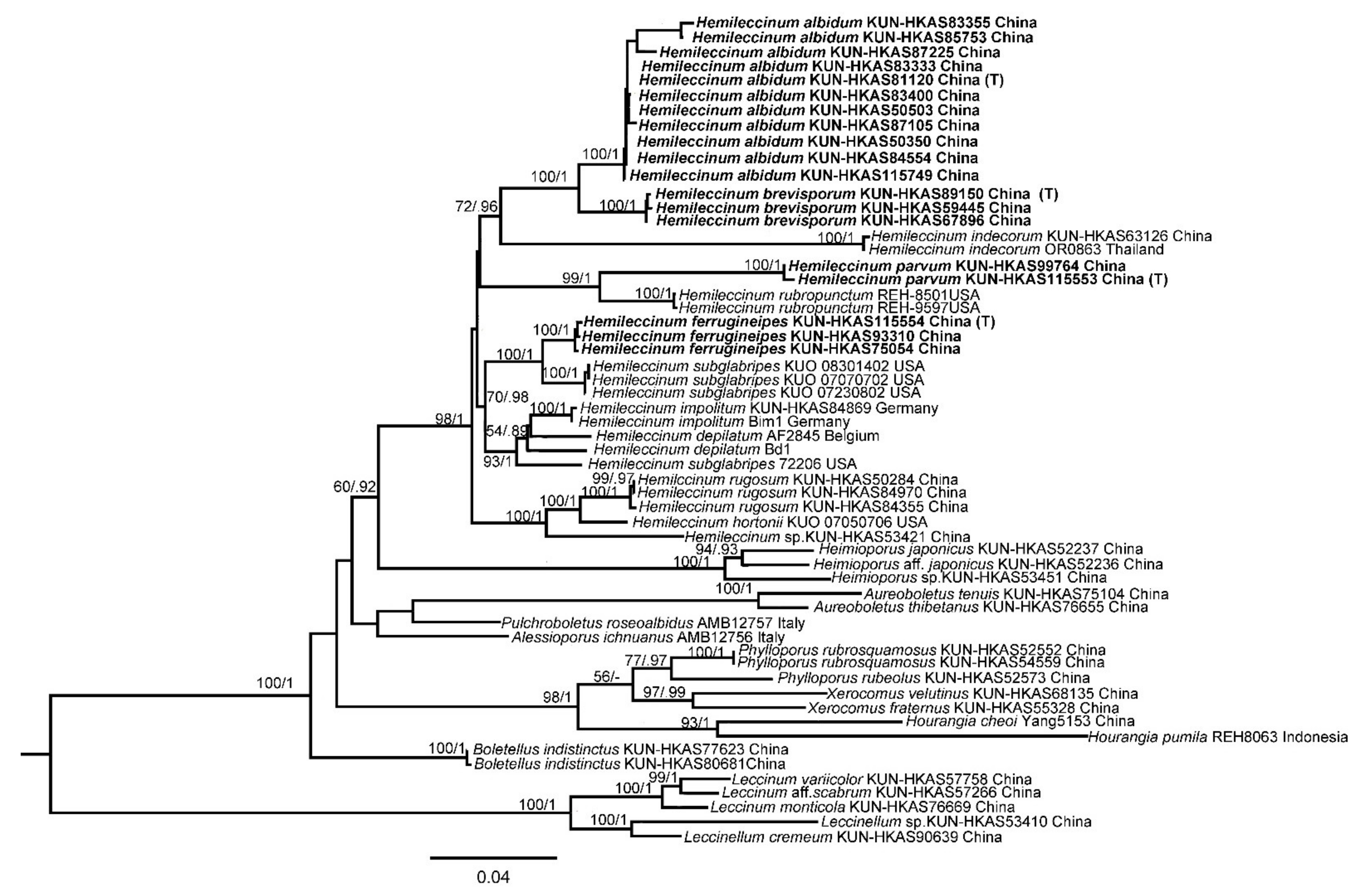 Jof 07 00823 g003 Jof 07 00823 g003