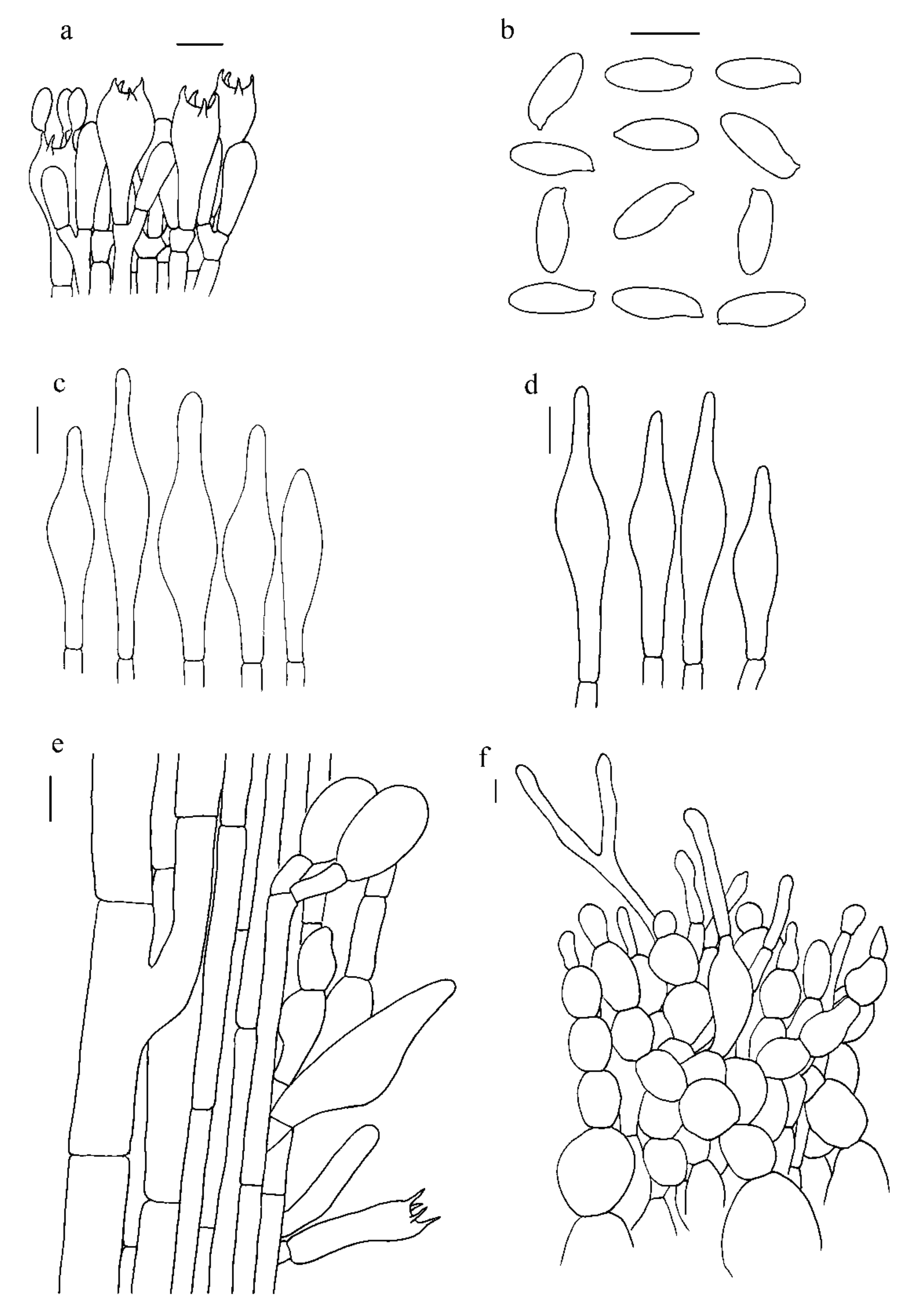 Jof 07 00823 g007 Jof 07 00823 g007