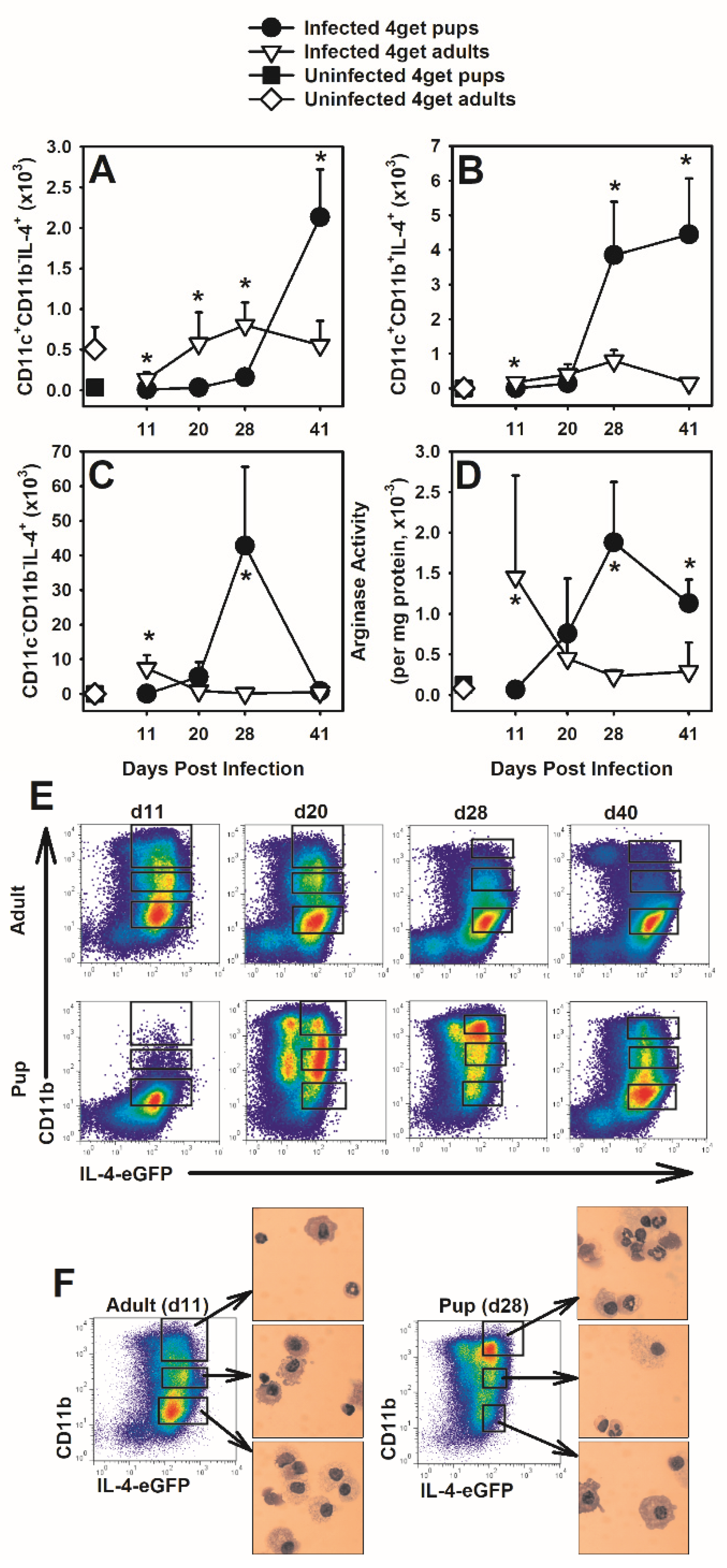 Jof 07 00827 g002 Jof 07 00827 g002