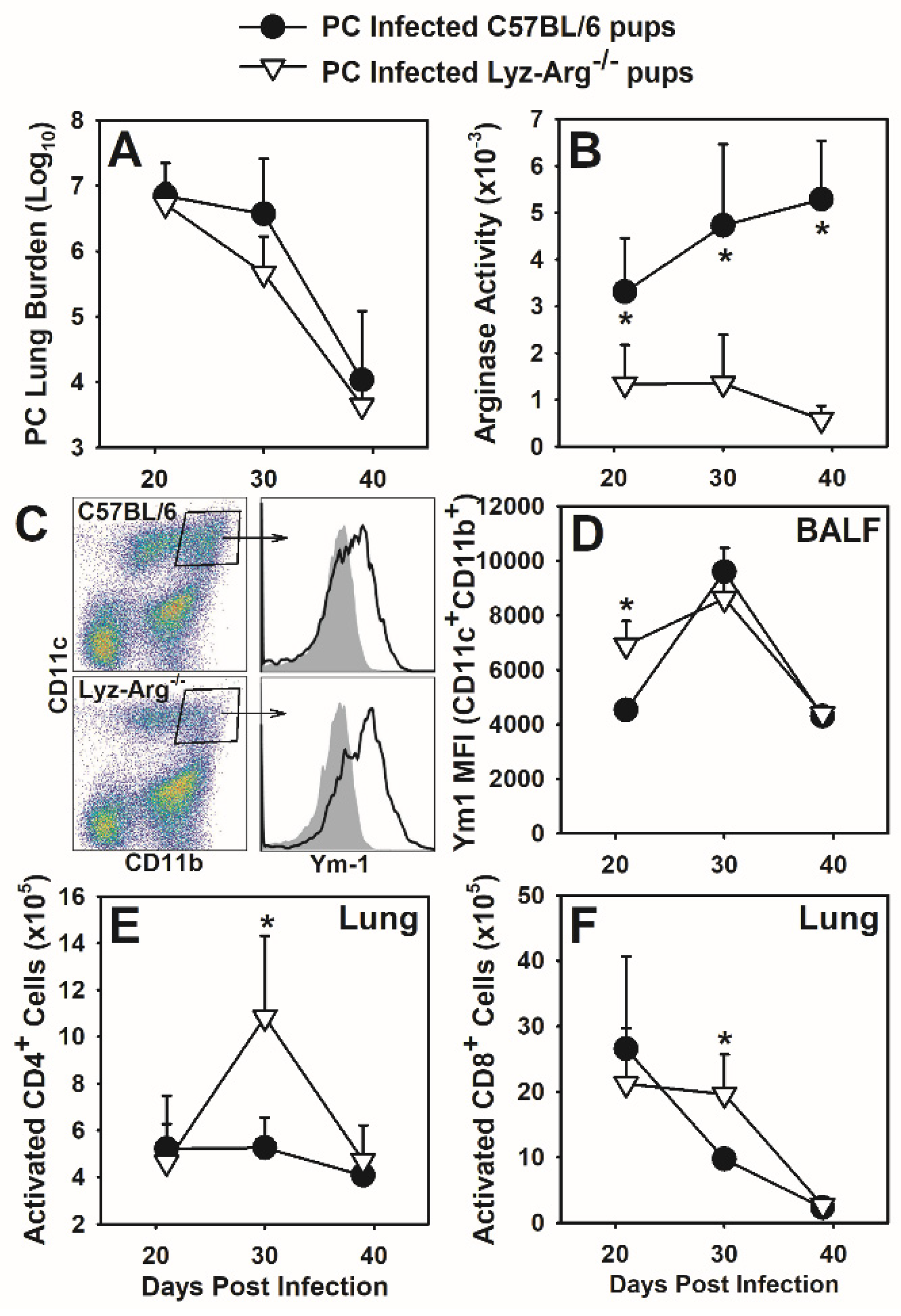 Jof 07 00827 g003 Jof 07 00827 g003