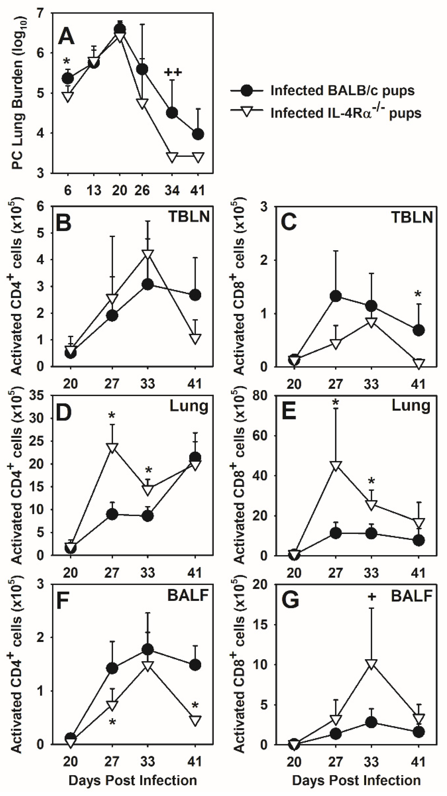 Jof 07 00827 g006 Jof 07 00827 g006