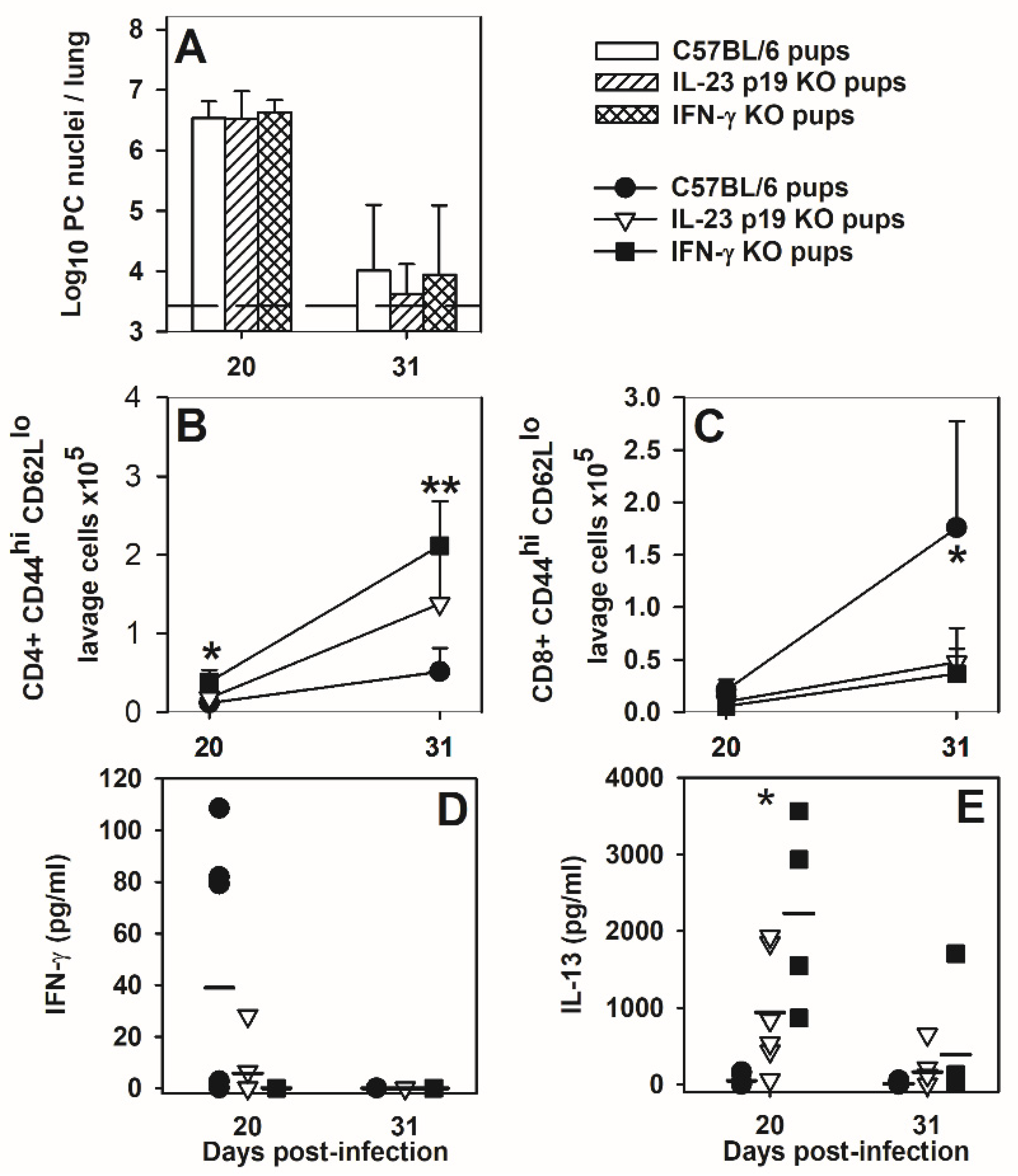 Jof 07 00827 g009 Jof 07 00827 g009
