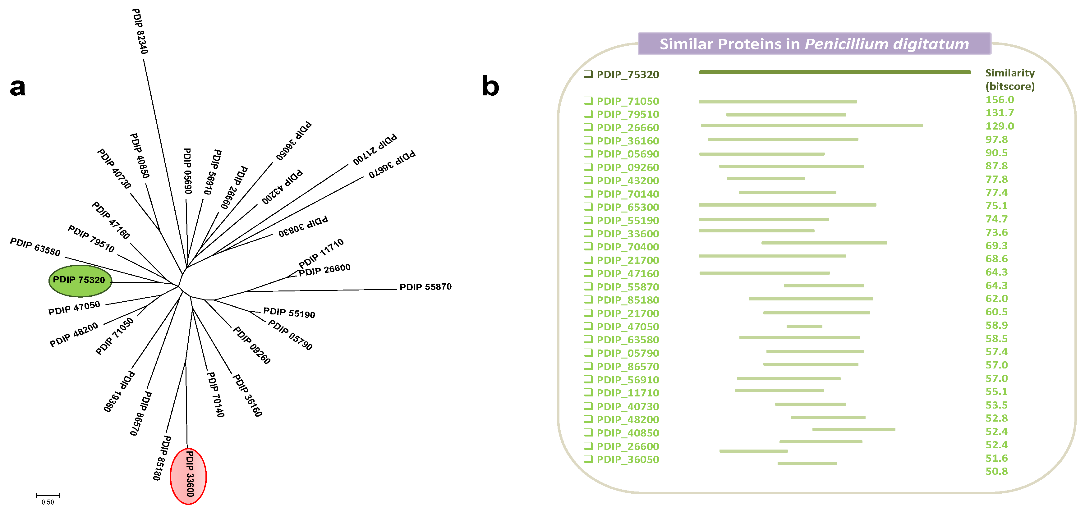 Jof 07 00828 g001 Jof 07 00828 g001