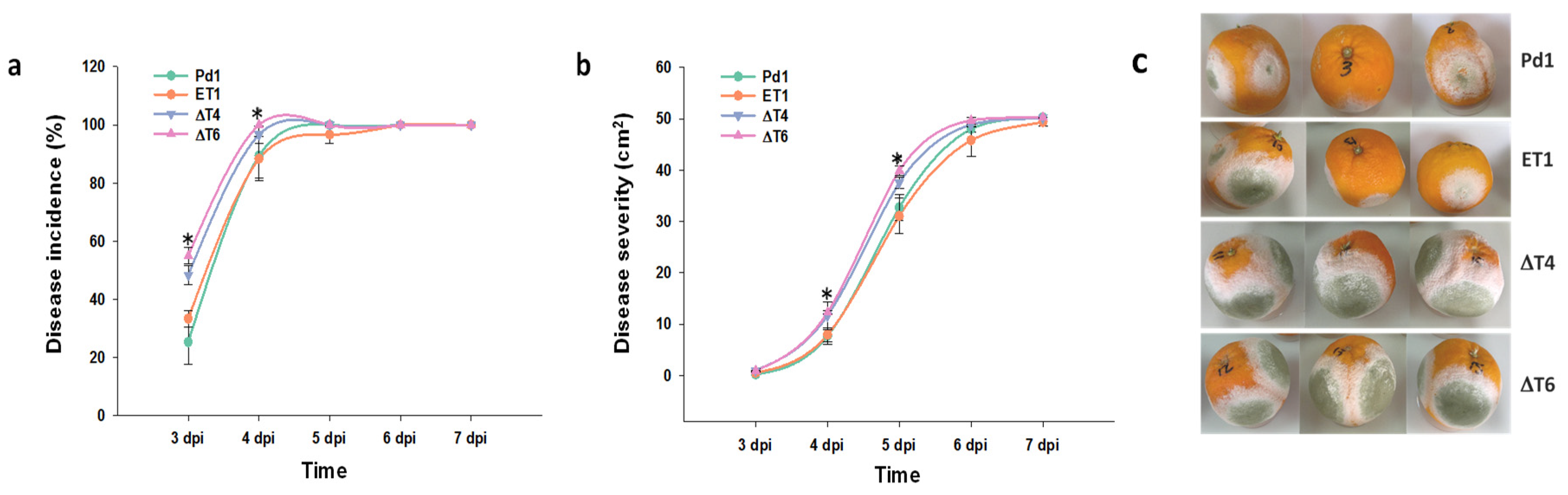 Jof 07 00828 g003 Jof 07 00828 g003