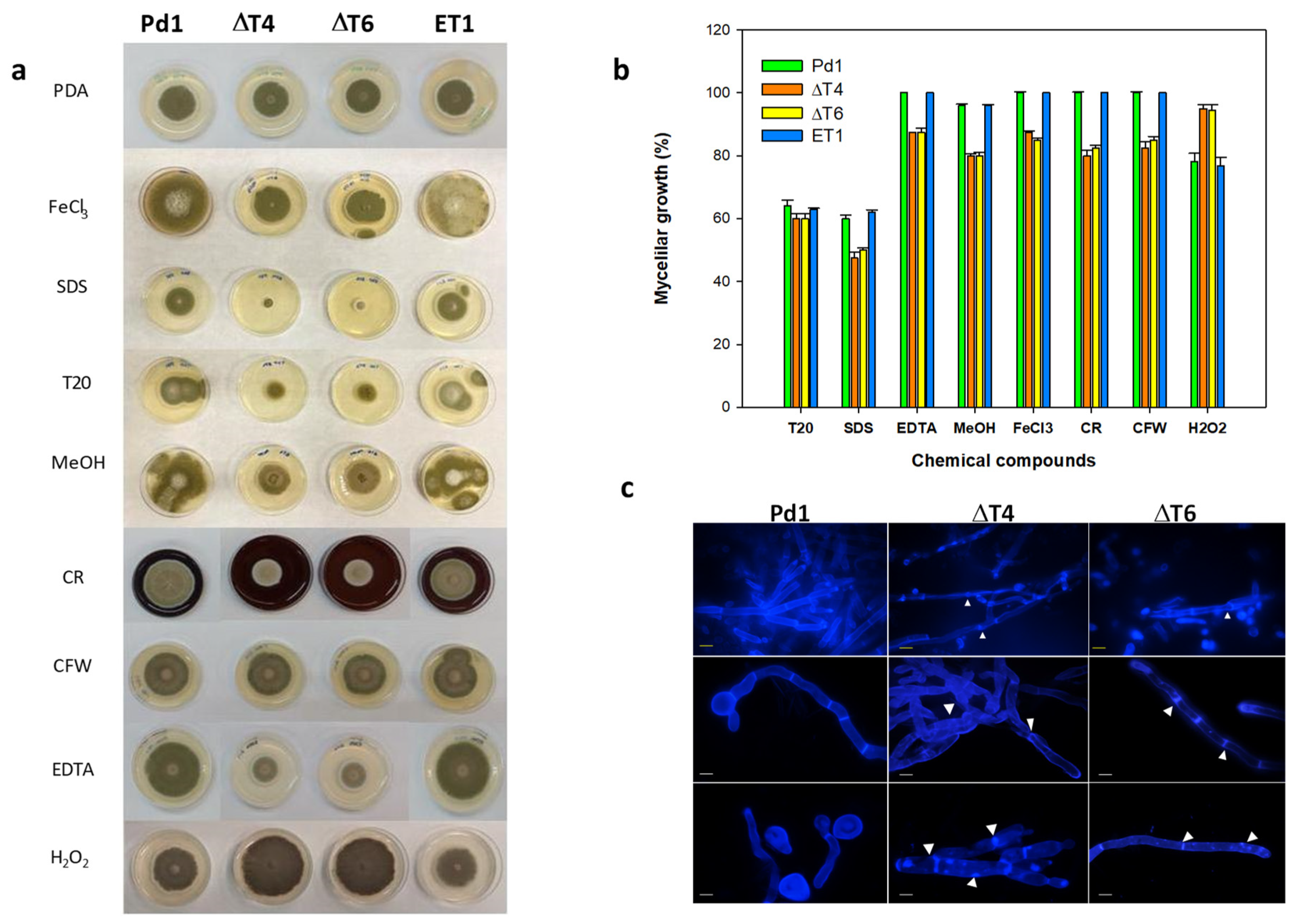Jof 07 00828 g005 Jof 07 00828 g005