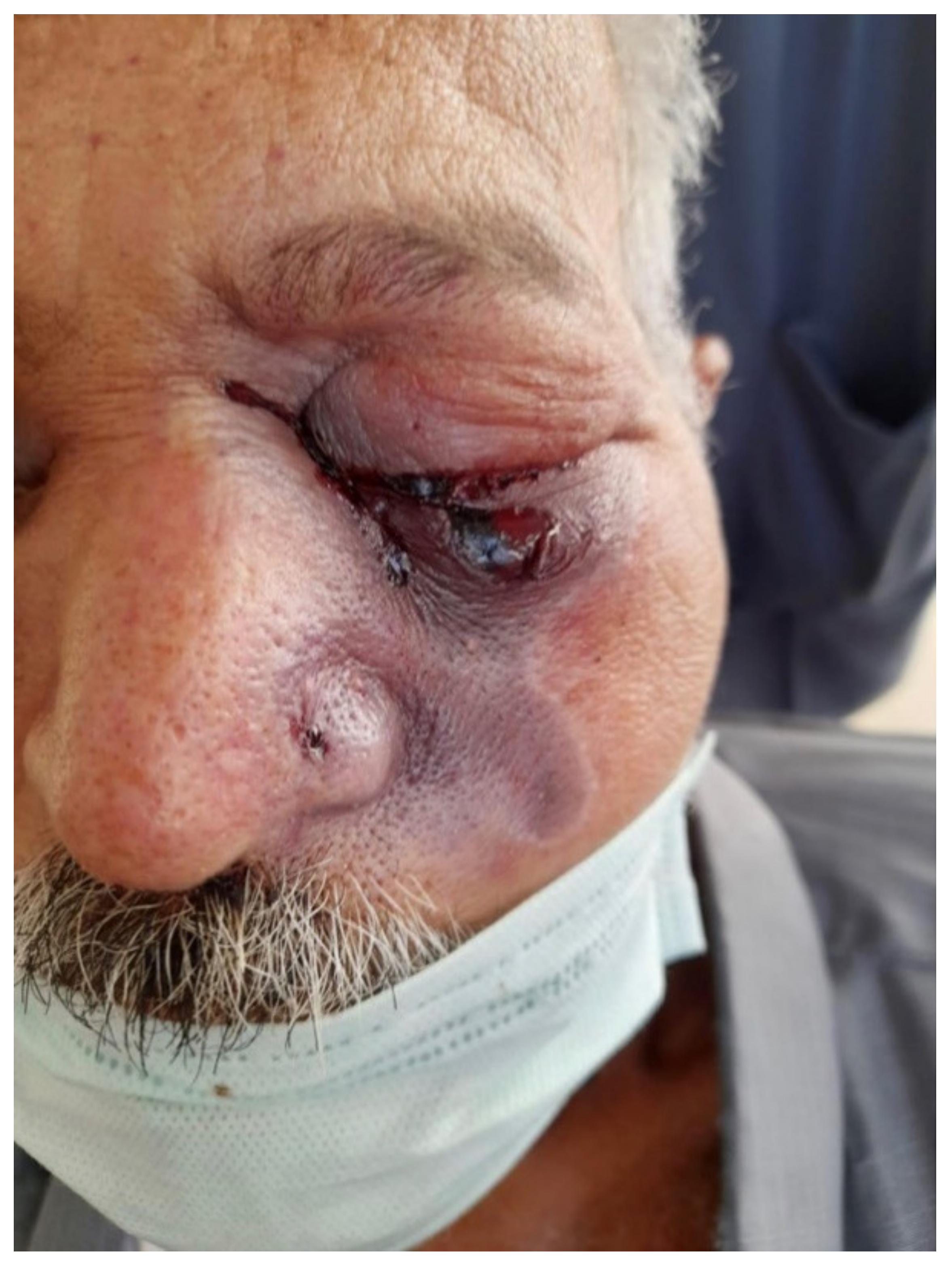 Jof 07 00837 g003 Jof 07 00837 g003