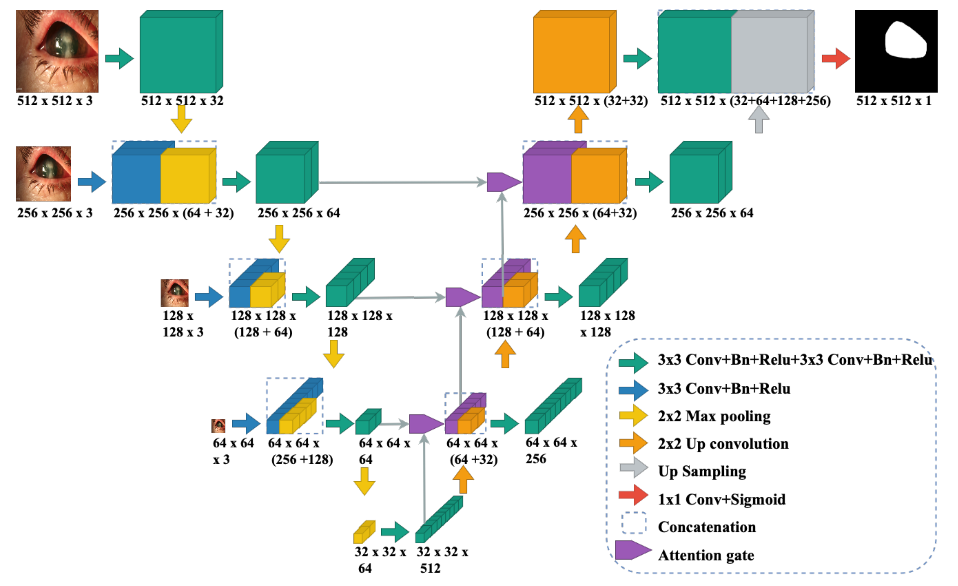 Jof 07 00850 g002 550