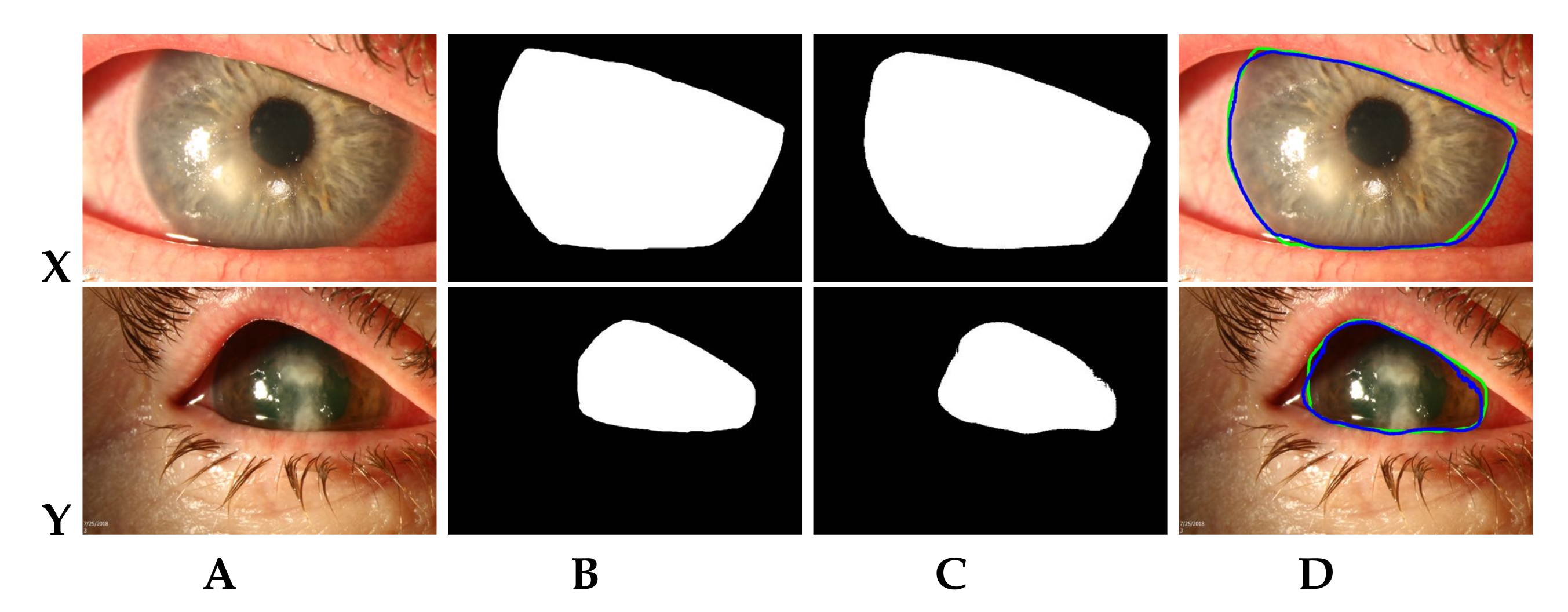 Jof 07 00850 g003 550