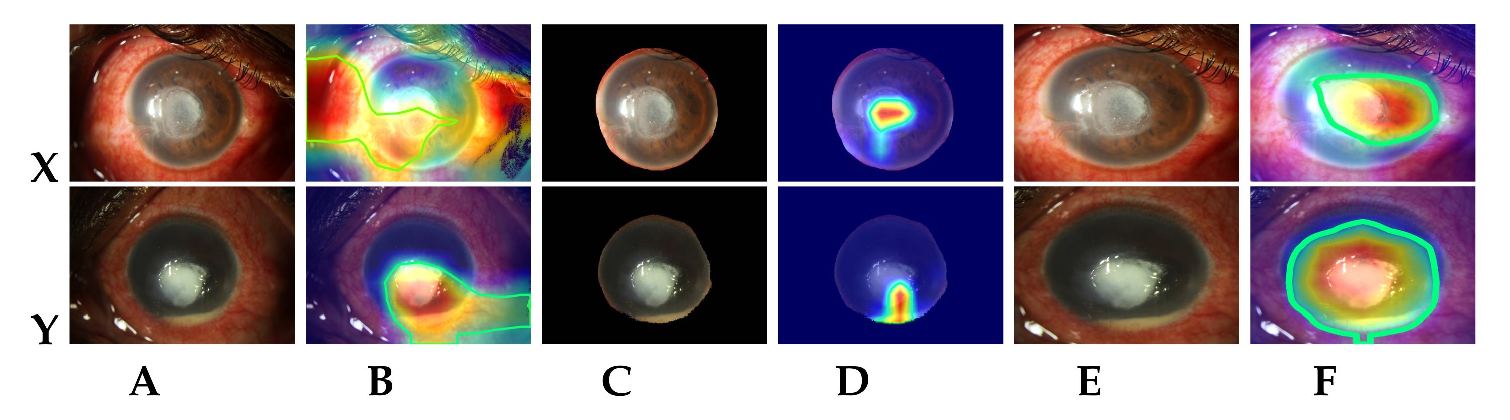 Jof 07 00850 g006 550