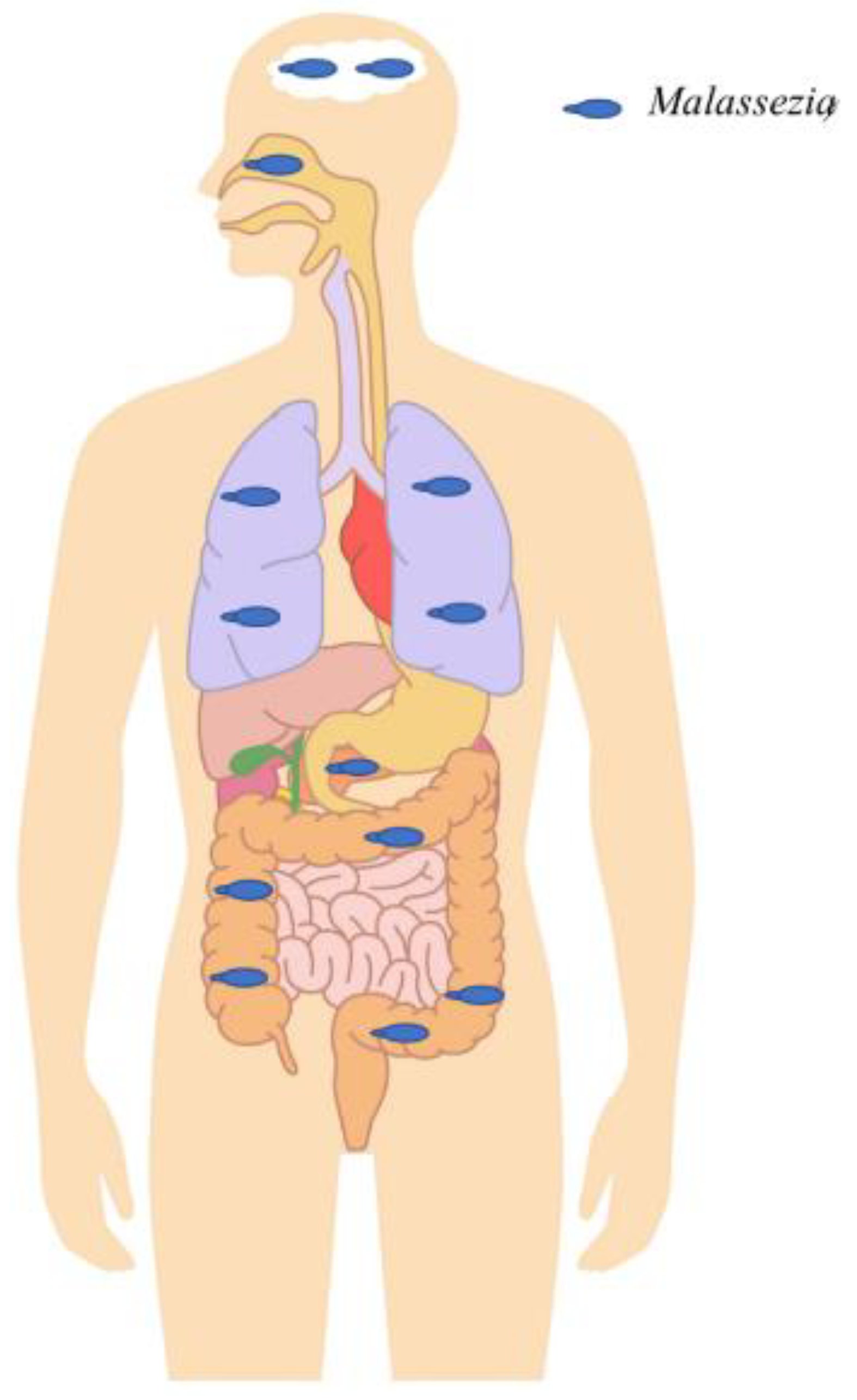 Jof 07 00855 g002 550