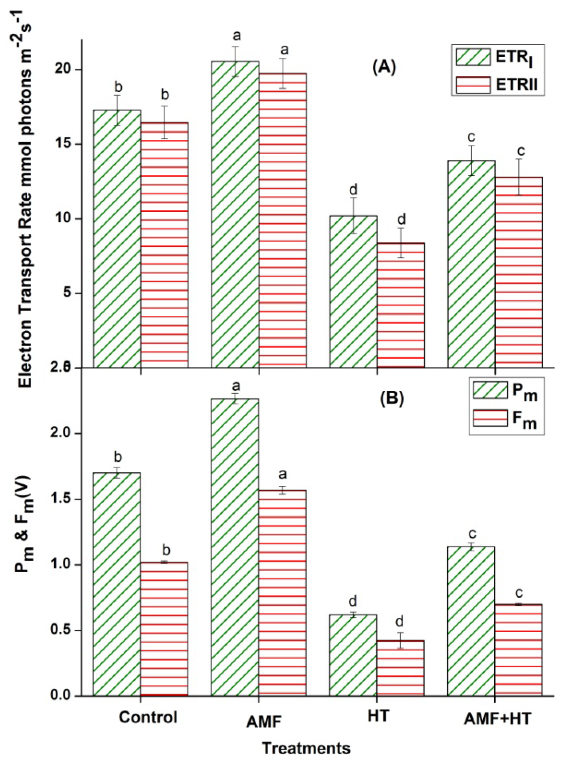 Jof 07 00867 g002 550