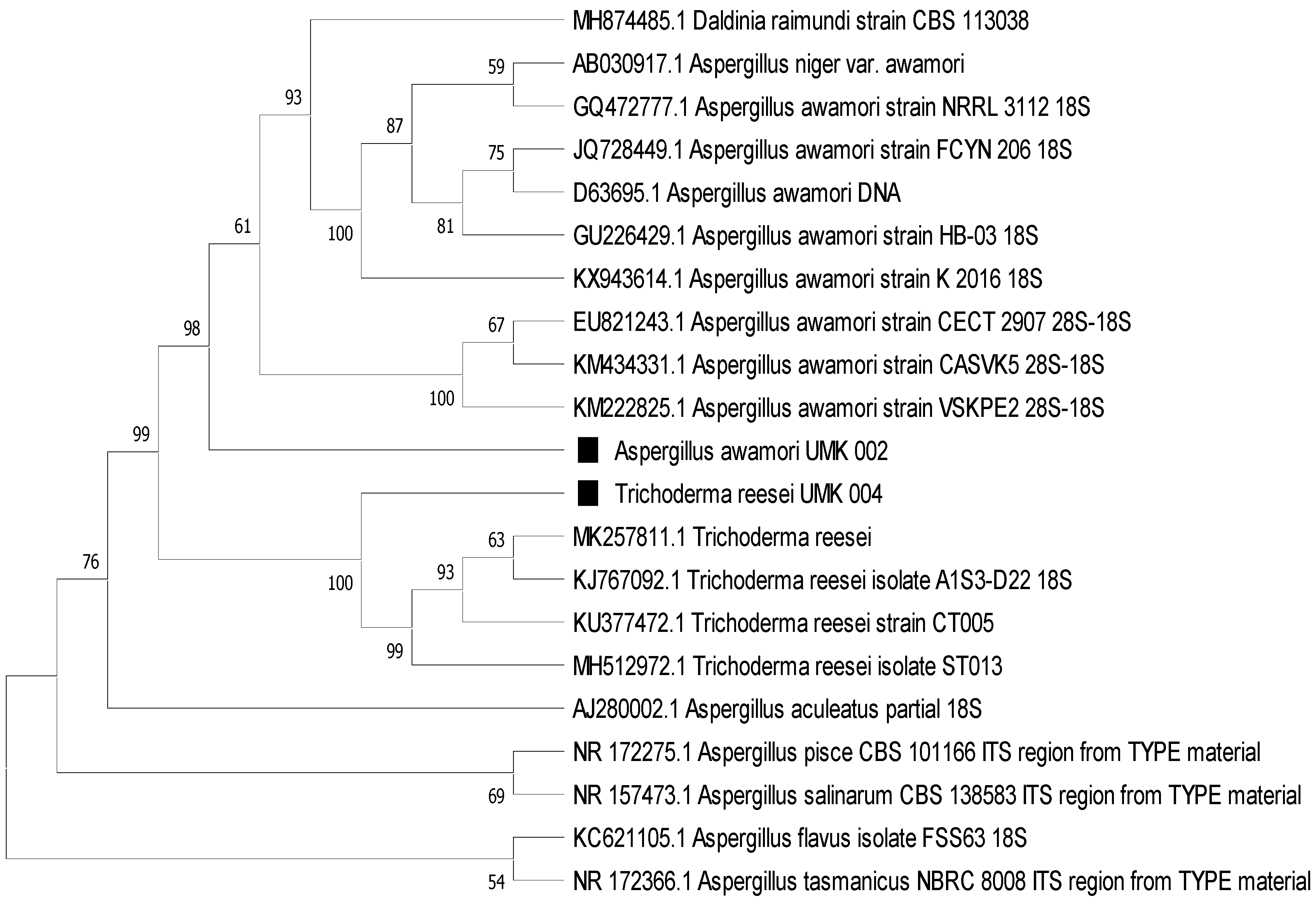Jof 07 00868 g004 550