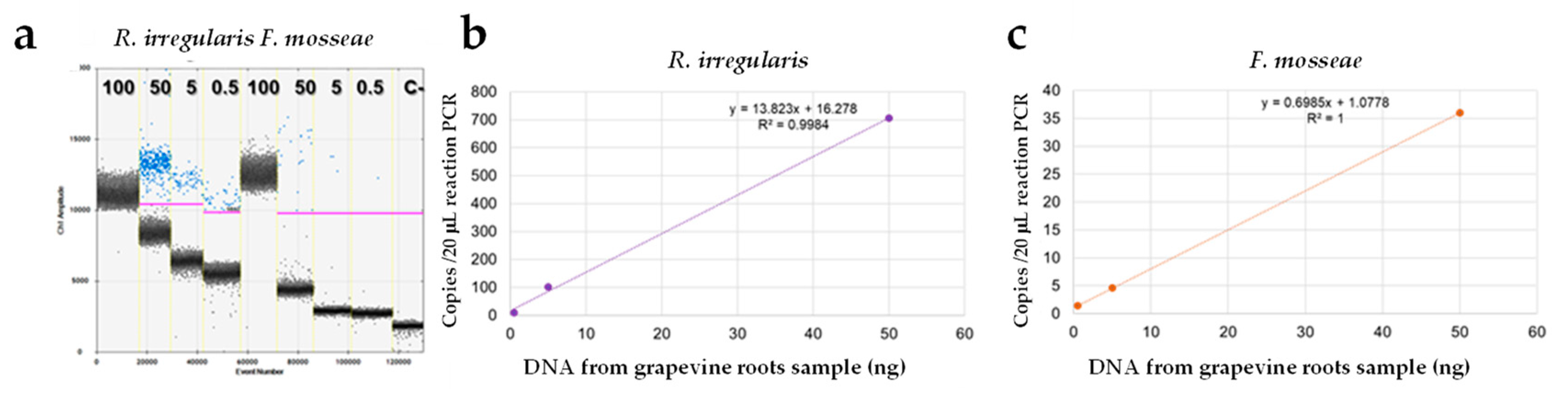 Jof 07 00869 g006 550