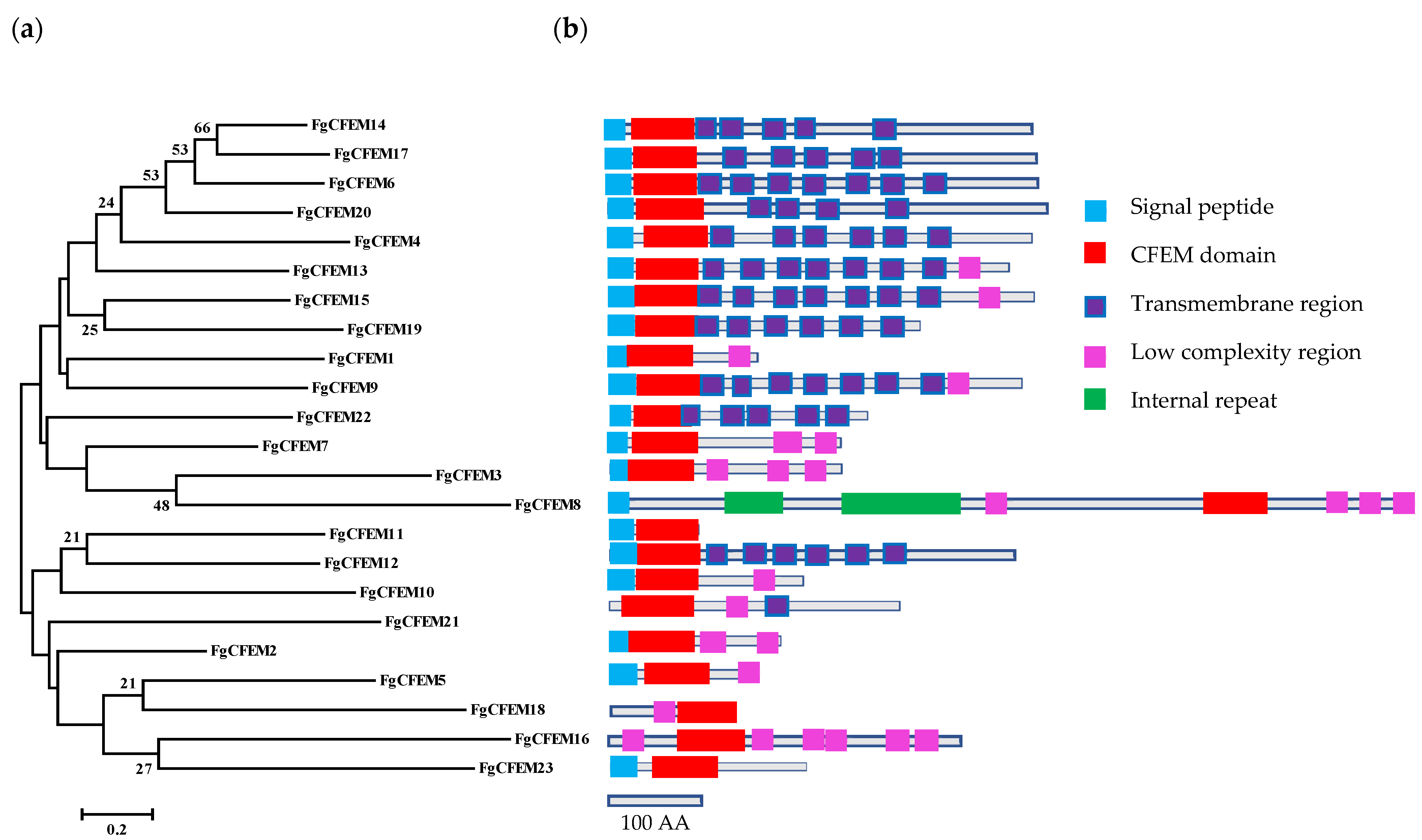 Jof 07 00871 g001 550