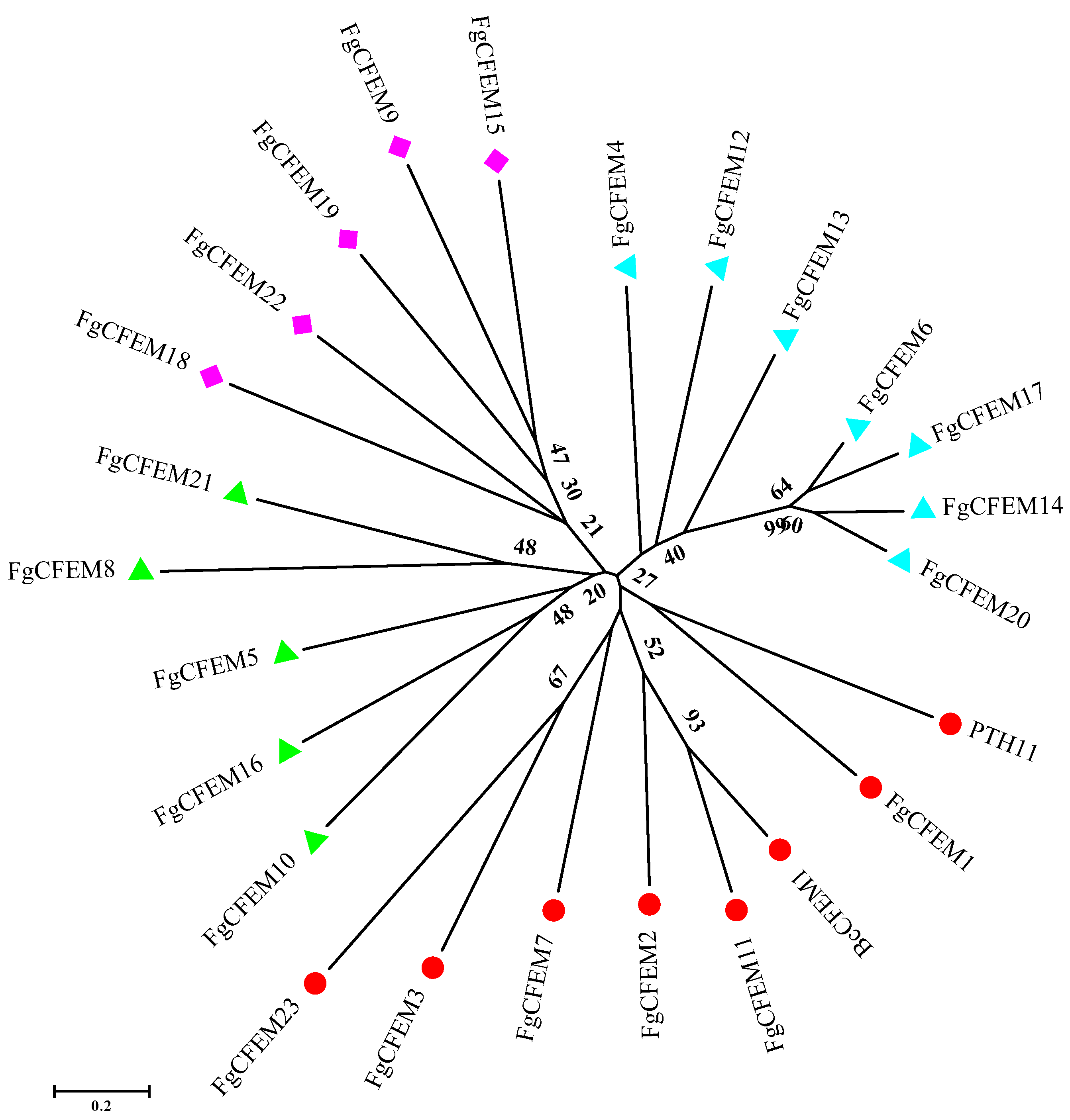 Jof 07 00871 g004 550