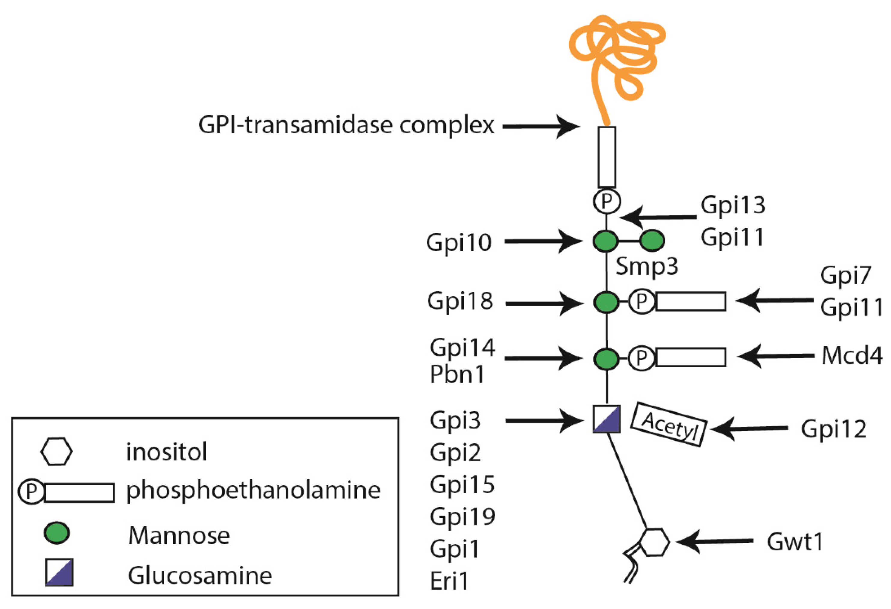 Jof 07 00875 g002 Jof 07 00875 g002