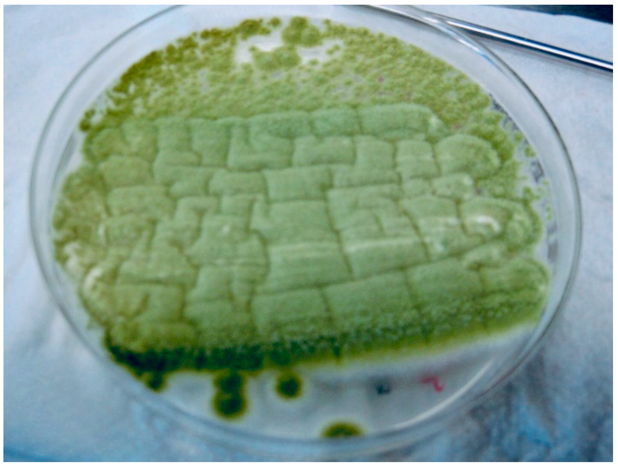 Jof 07 00877 g001 550