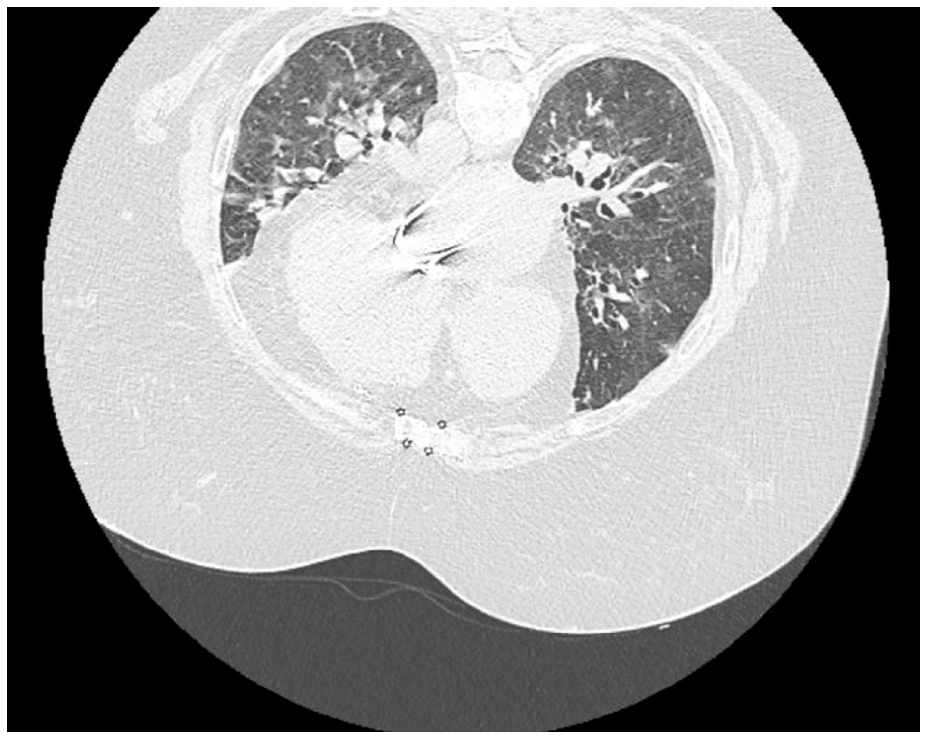 Jof 07 00877 g003 550