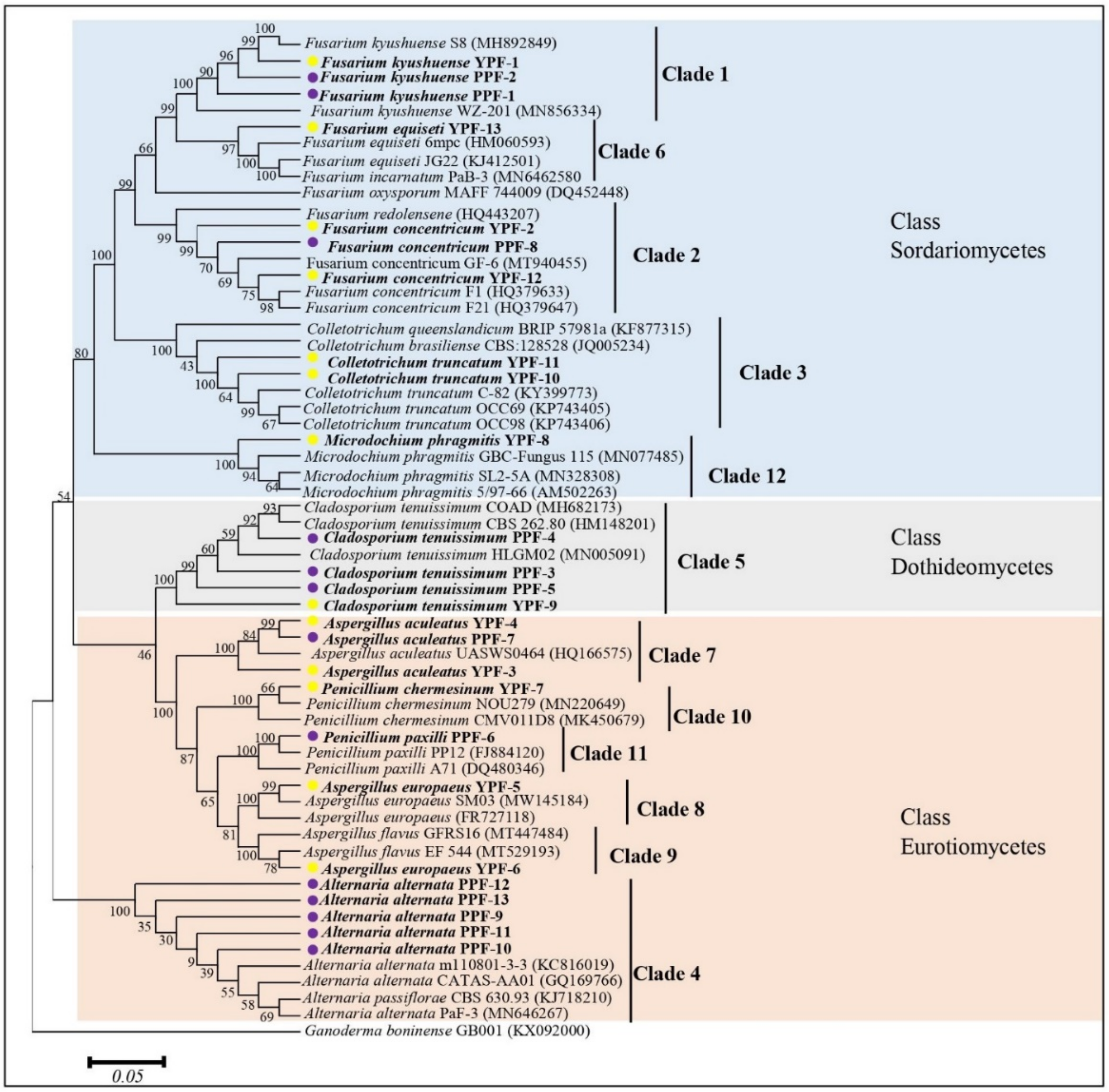 Jof 07 00879 g003 Jof 07 00879 g003