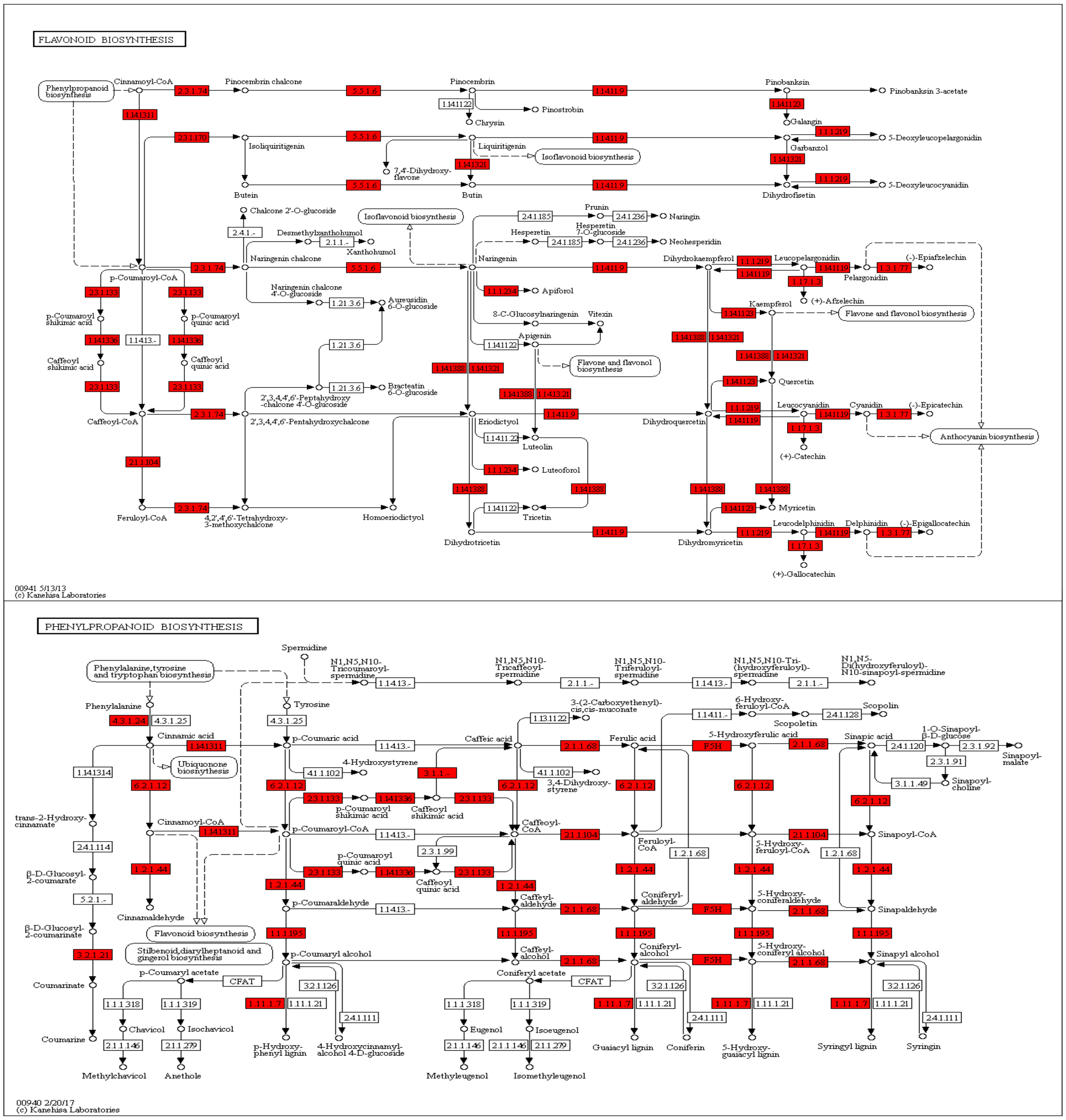 Jof 07 00879 g007 Jof 07 00879 g007