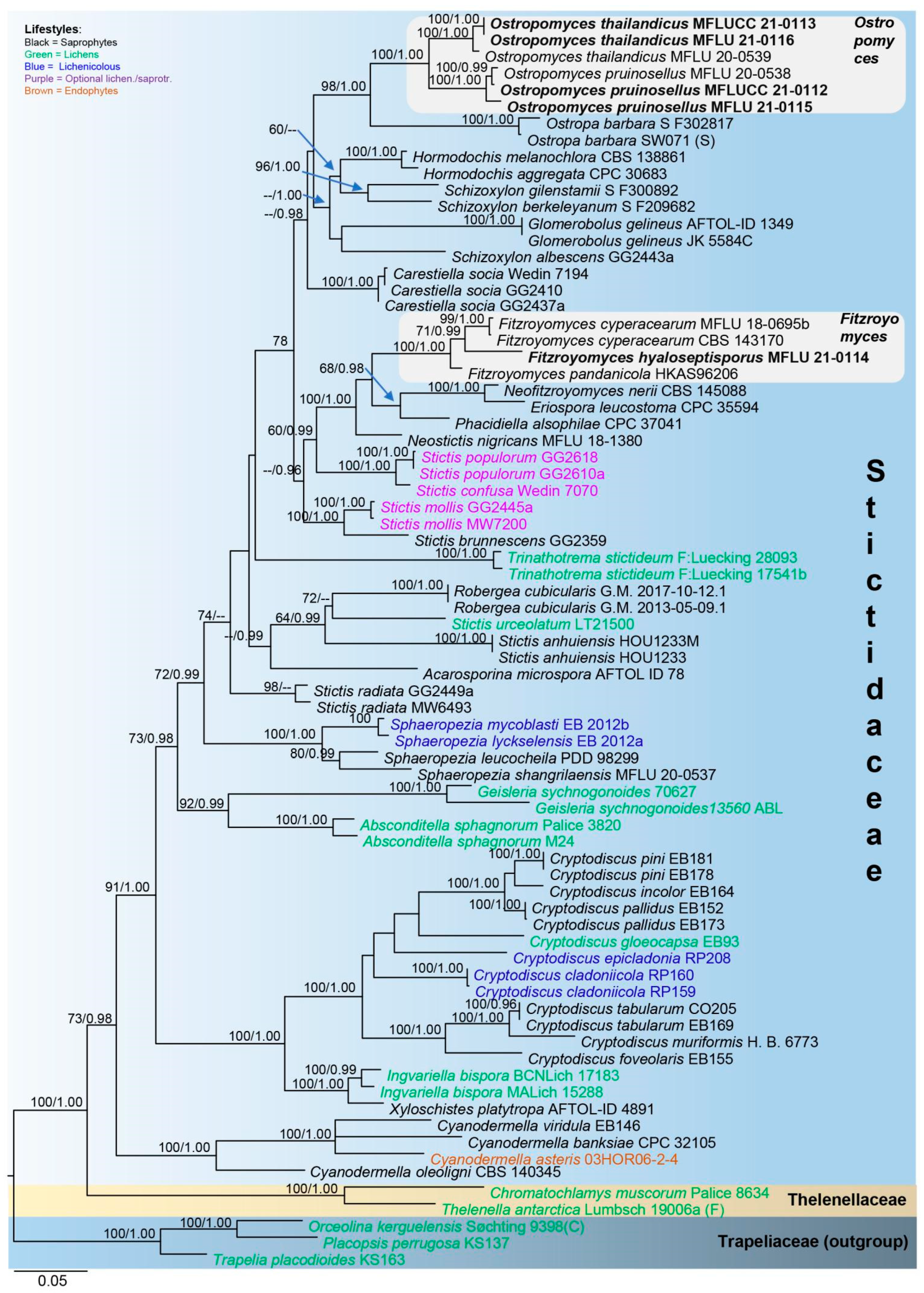 Jof 07 00880 g002 Jof 07 00880 g002
