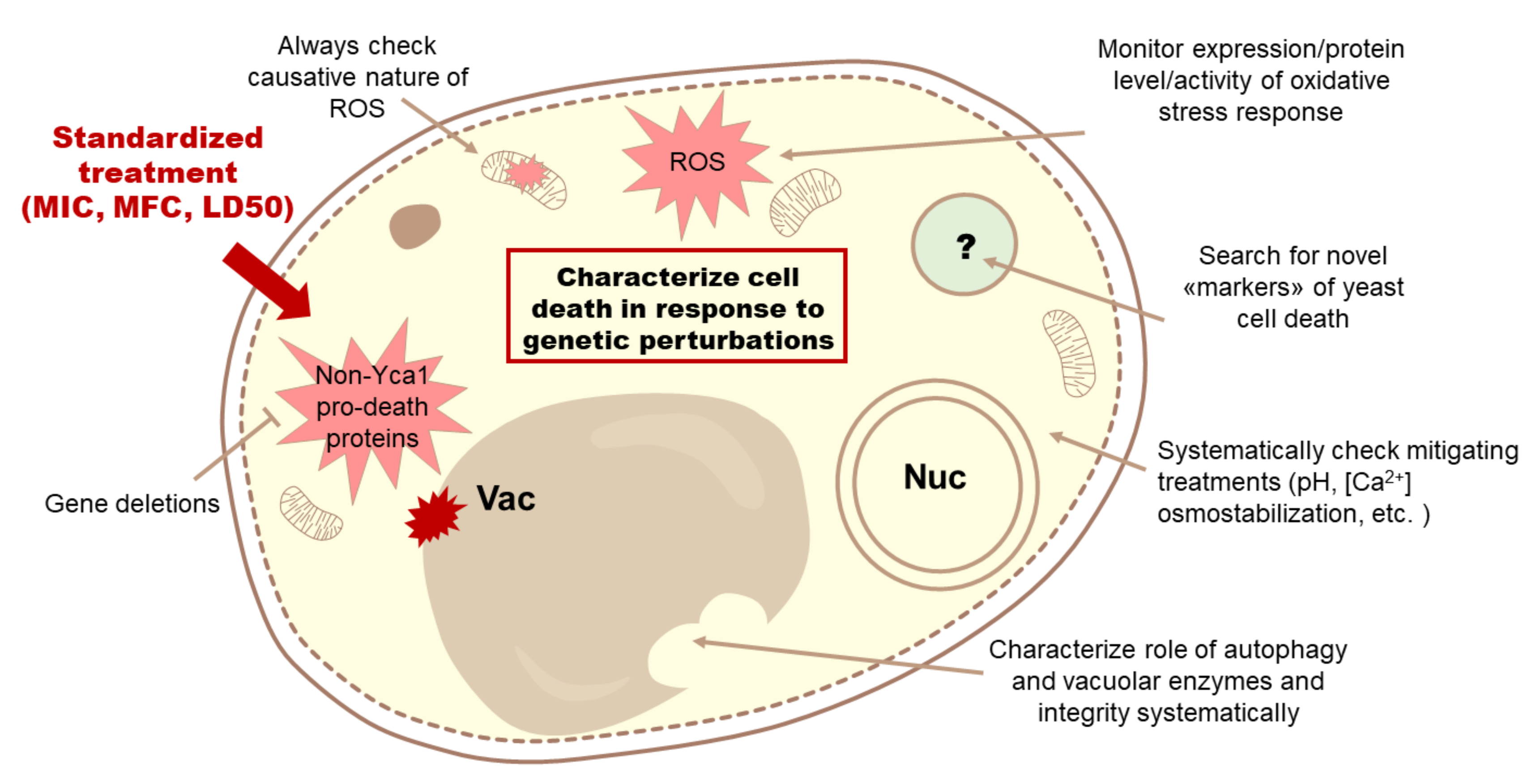 Jof 07 00886 g006 Jof 07 00886 g006